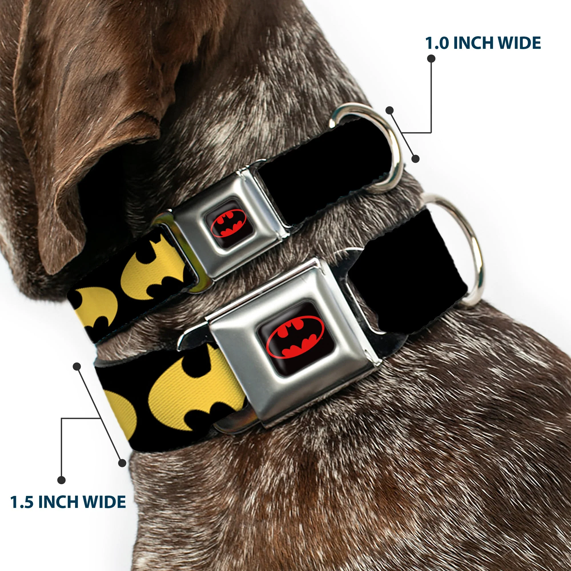 Batman Full Color Black Yellow Seatbelt Buckle Collar - Bat Signal-1 Black/Yellow - Image 2