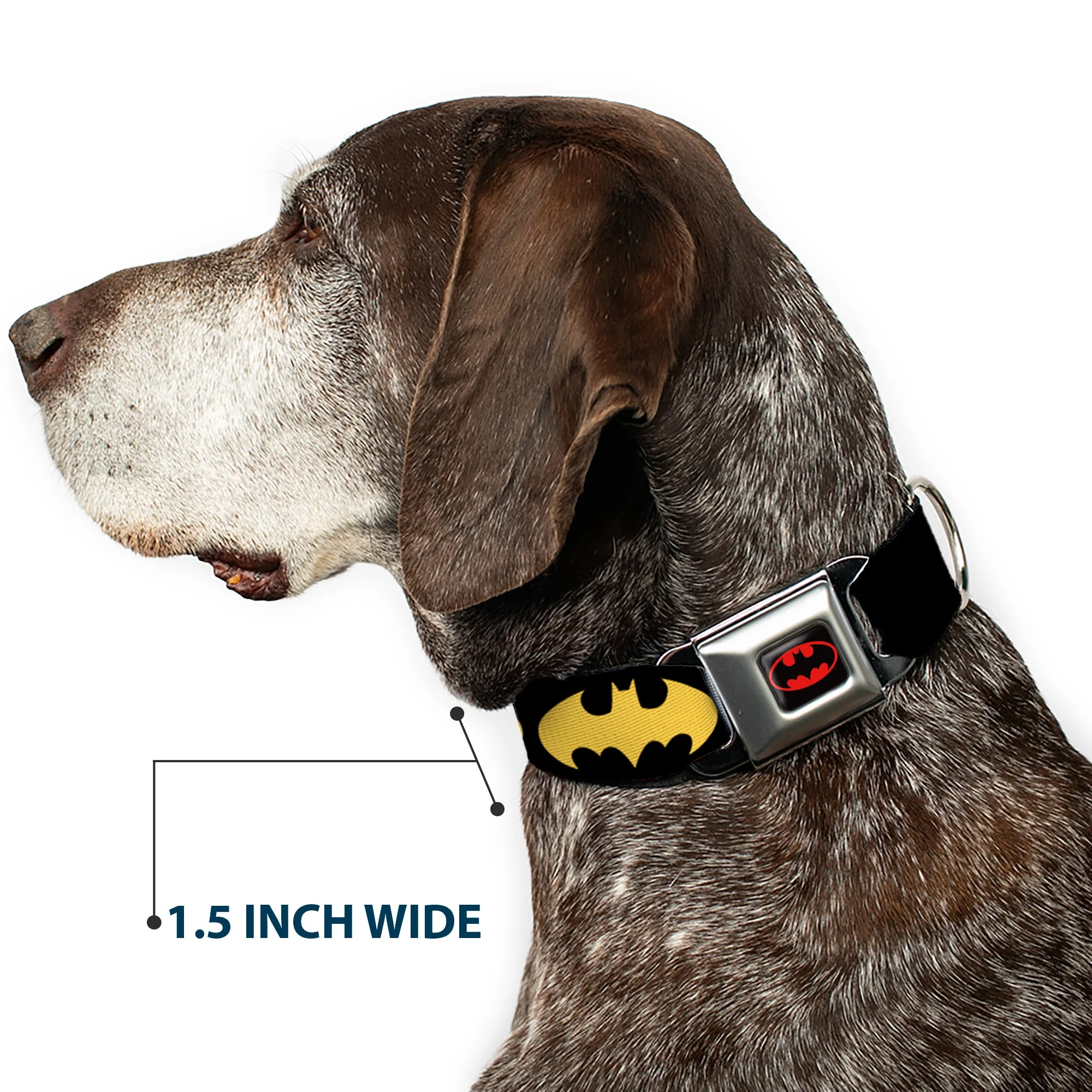 Batman Full Color Black Yellow Seatbelt Buckle Collar - Bat Signal-1 Black/Yellow - Image 7