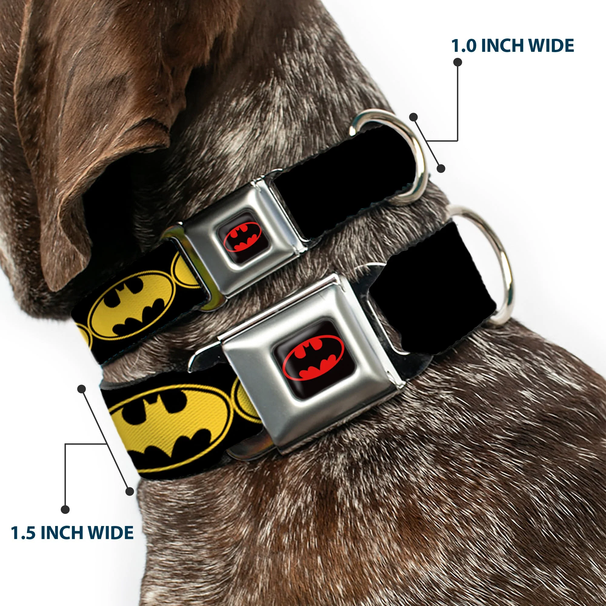 Batman Full Color Black Yellow Seatbelt Buckle Collar - Bat Signal-3 Black/Yellow/Black - Image 2