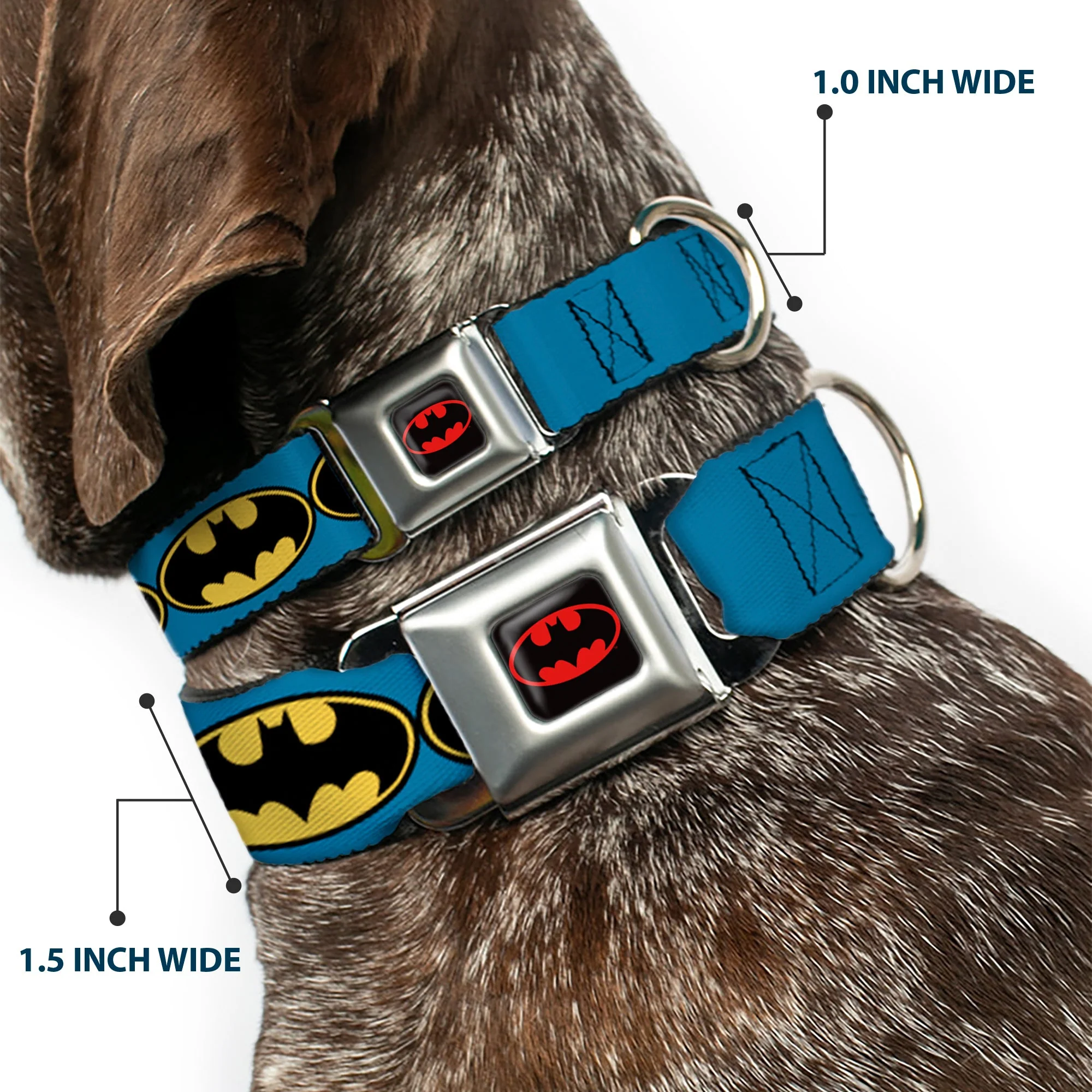 Batman Full Color Black Yellow Seatbelt Buckle Collar - Bat Signal-3 Blue/Black/Yellow - Image 2