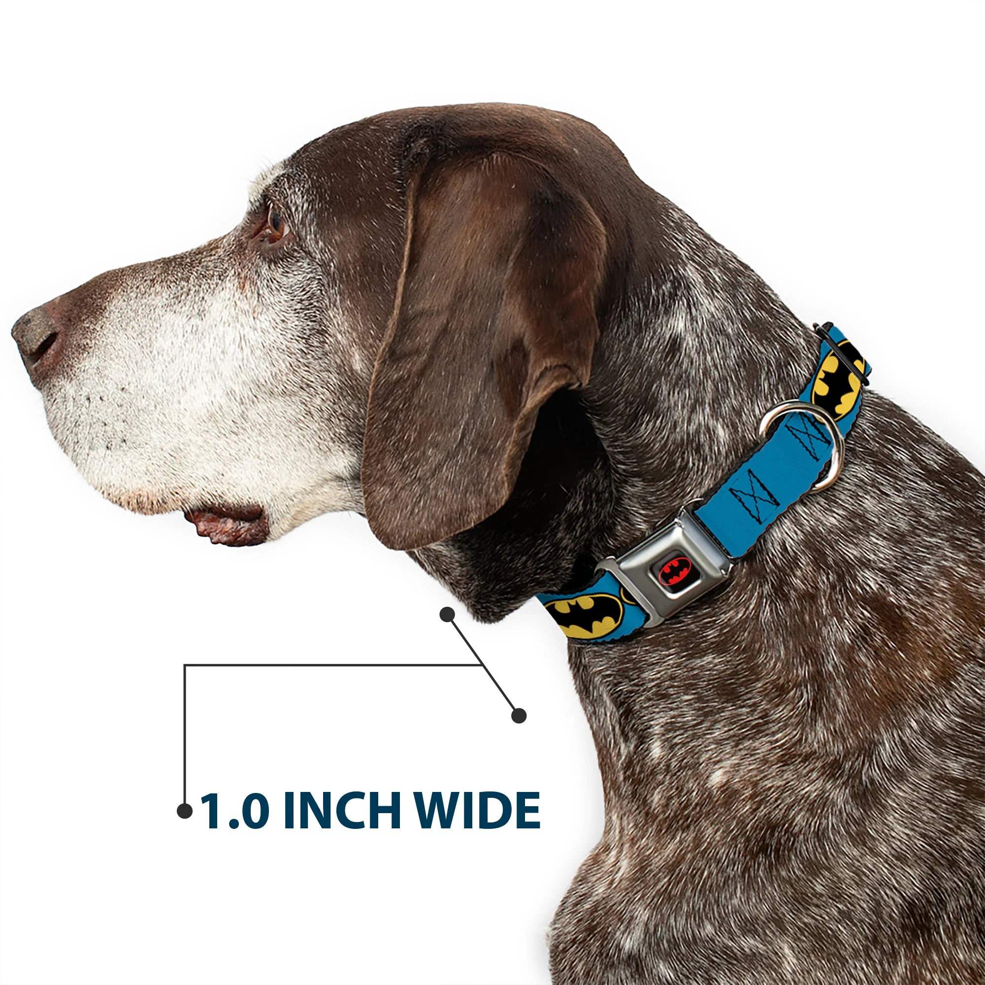 Batman Full Color Black Yellow Seatbelt Buckle Collar - Bat Signal-3 Blue/Black/Yellow - Image 6