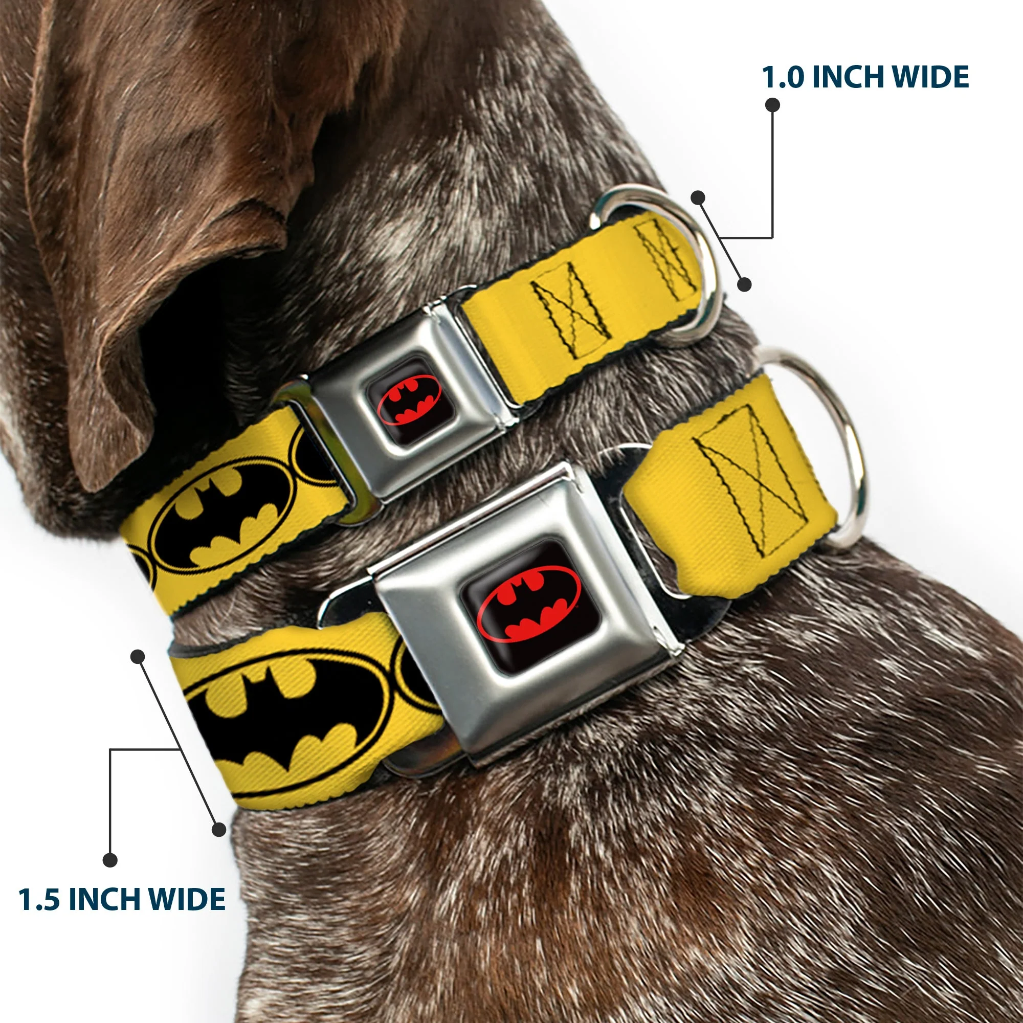 Batman Full Color Black Yellow Seatbelt Buckle Collar - Bat Signal-3 Yellow/Black/Yellow - Image 2