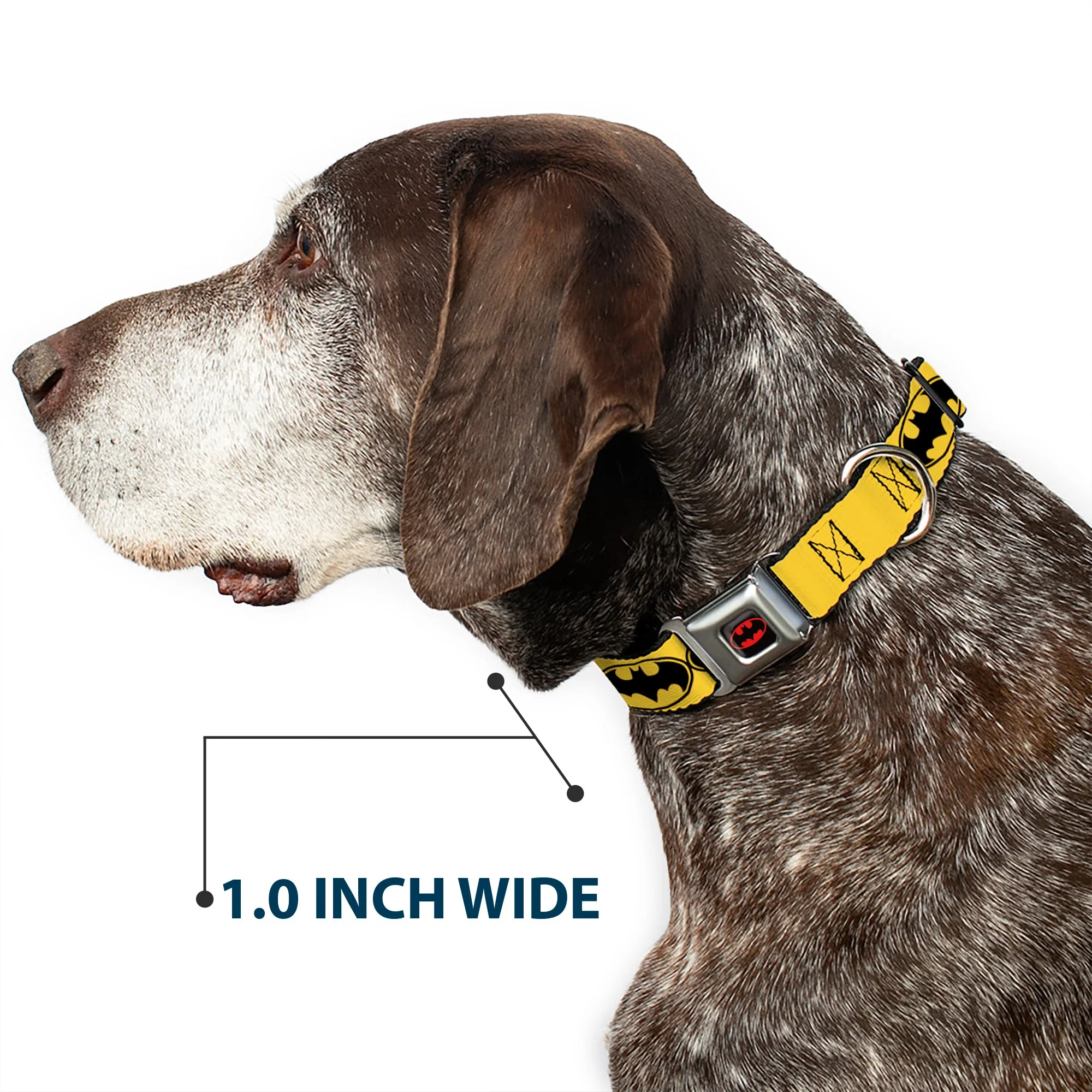 Batman Full Color Black Yellow Seatbelt Buckle Collar - Bat Signal-3 Yellow/Black/Yellow - Image 6