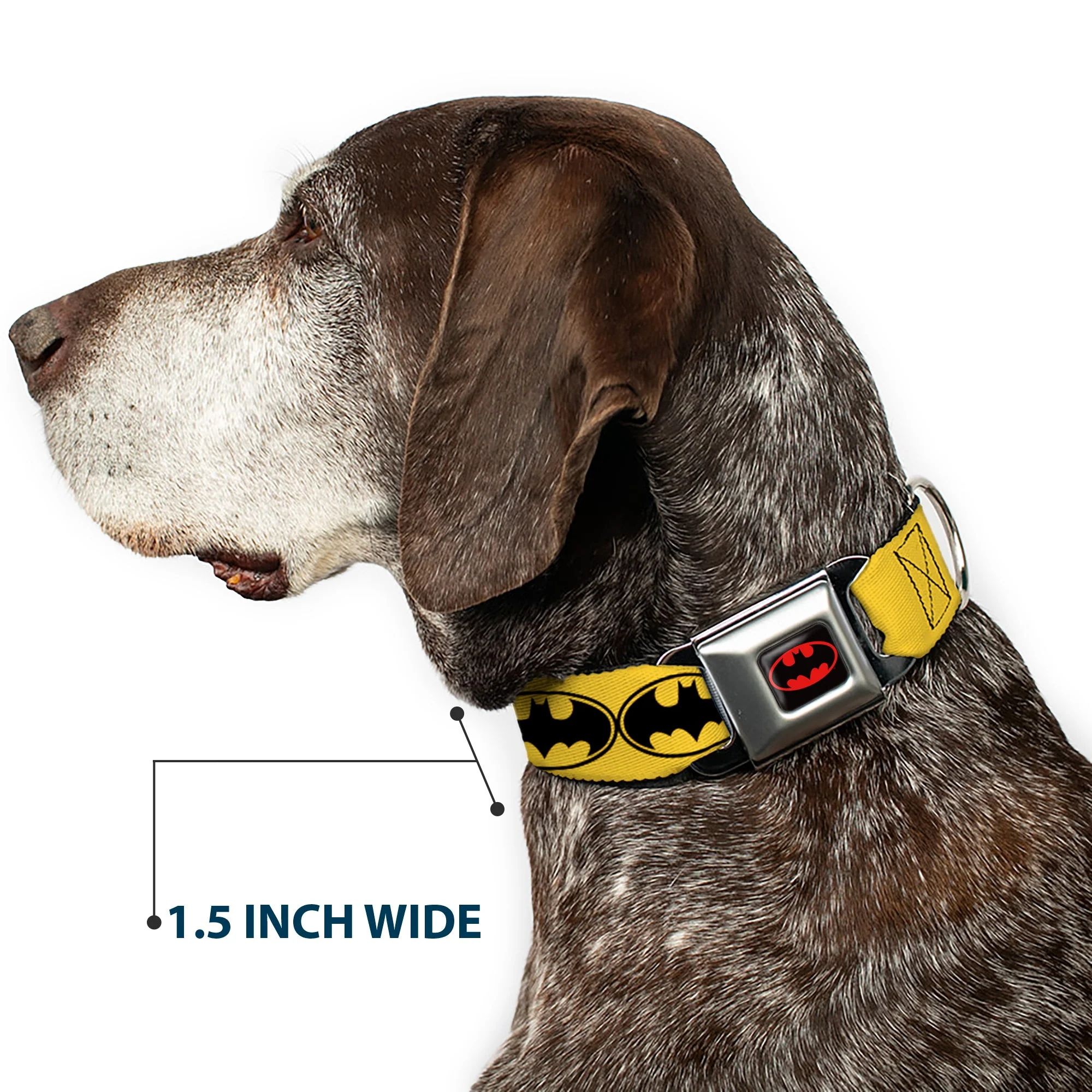 Batman Full Color Black Yellow Seatbelt Buckle Collar - Bat Signal-3 Yellow/Black/Yellow - Image 7
