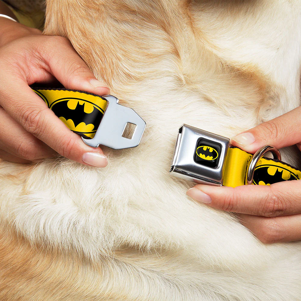 Batman Full Color Black Yellow Seatbelt Buckle Collar - Bat Signal-3 Yellow/Black/Yellow - Image 8