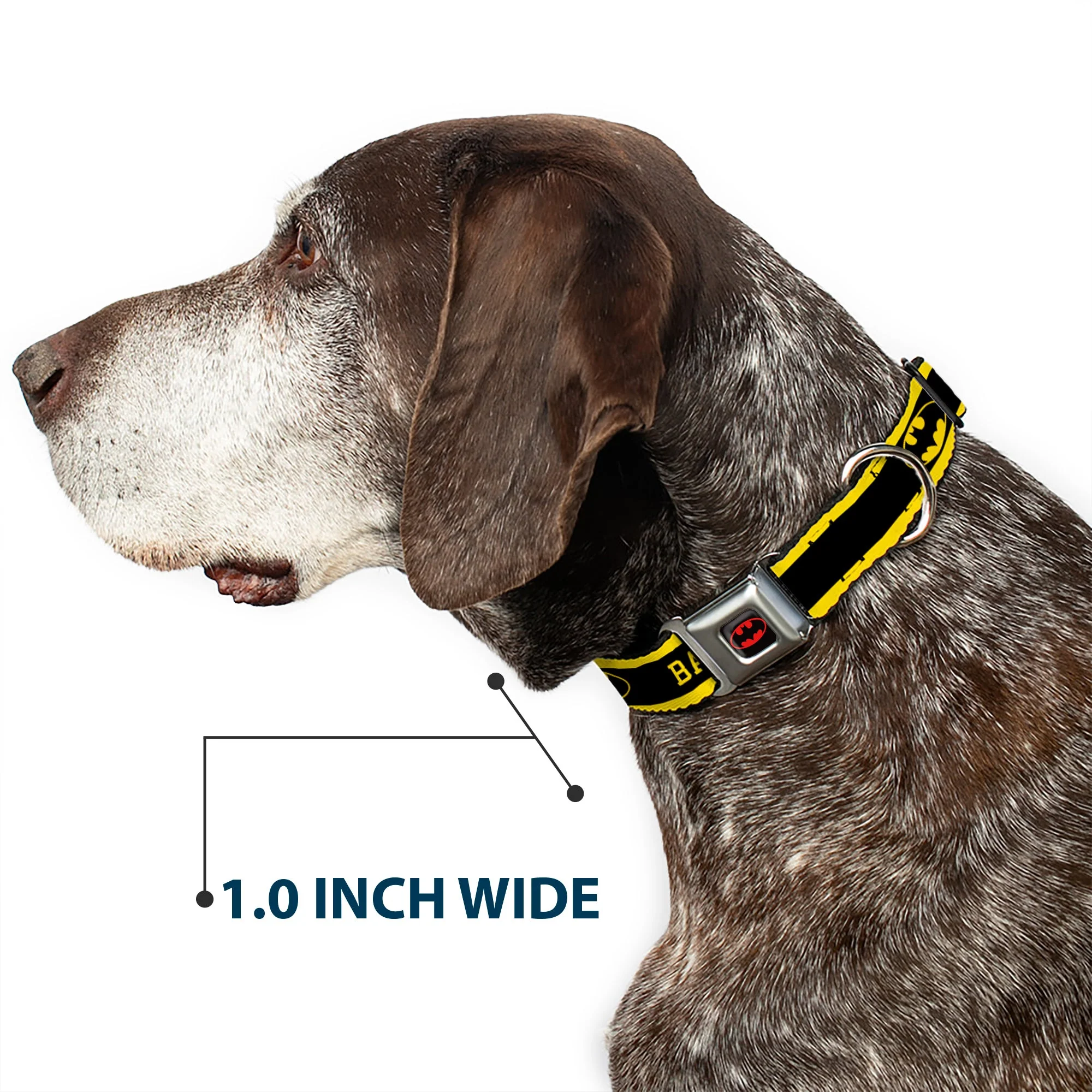 Batman Full Color Black Yellow Seatbelt Buckle Collar - BATMAN/Logo Stripe Yellow/Black - Image 6