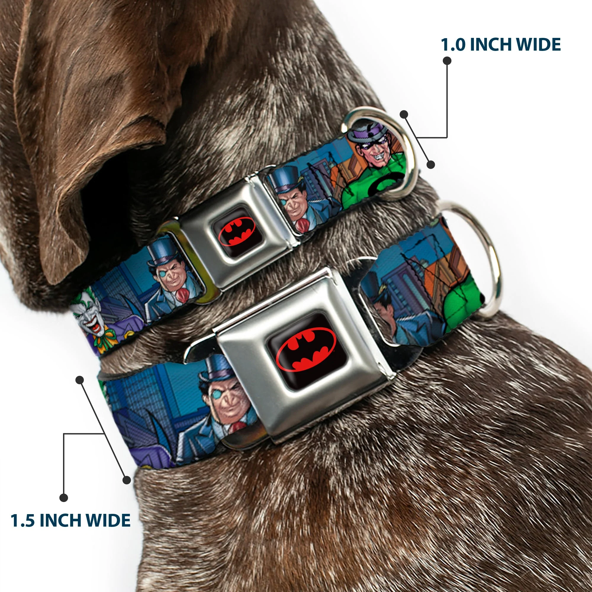 Batman Full Color Black Yellow Seatbelt Buckle Collar - BATMAN & Villains2/Cityscape - Image 2
