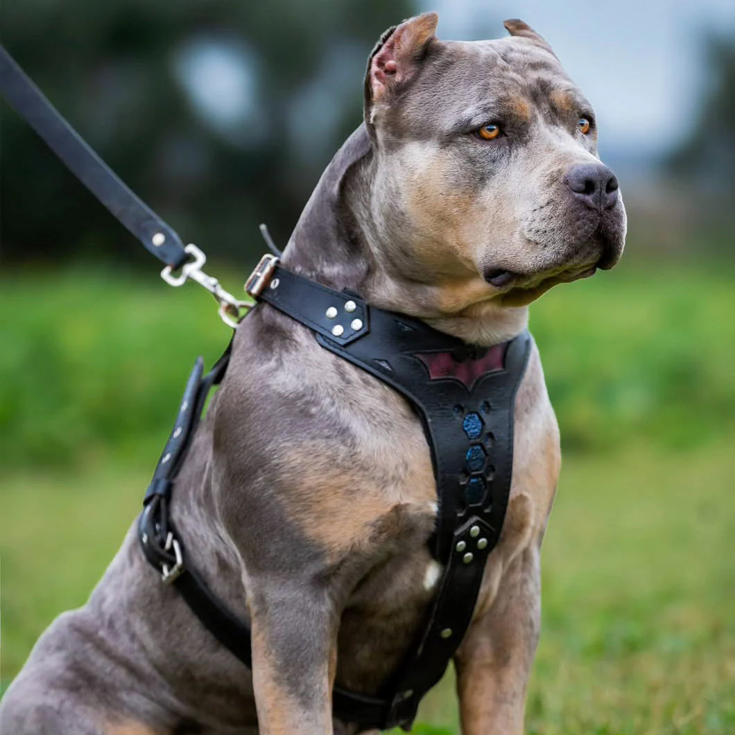 Bestia Dog Gear Genuine Leather Dog Harness - Image 2