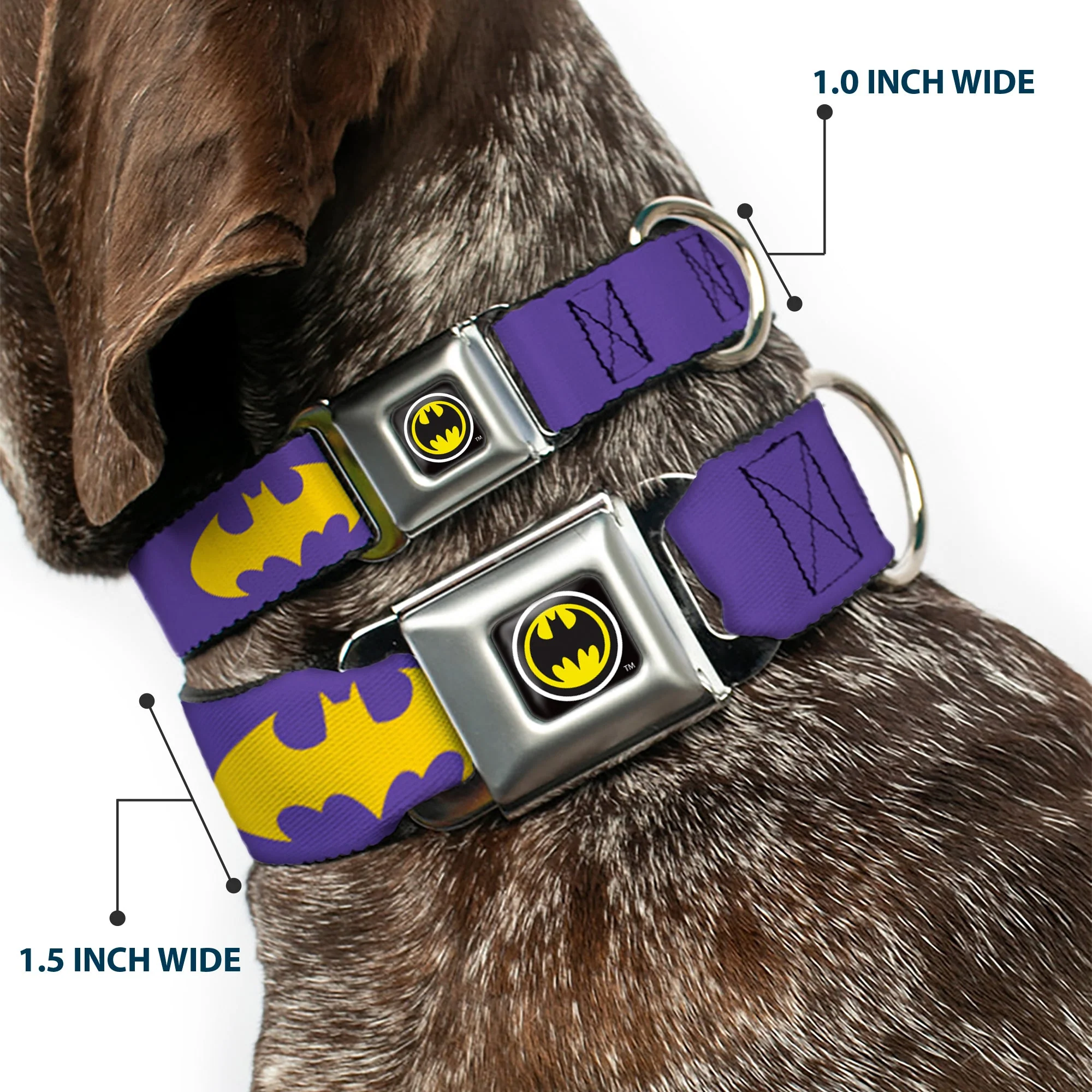 Batman Signal Full Color Purple Yellow Seatbelt Buckle Collar - Batman Signal Purple/Yellow - Image 2