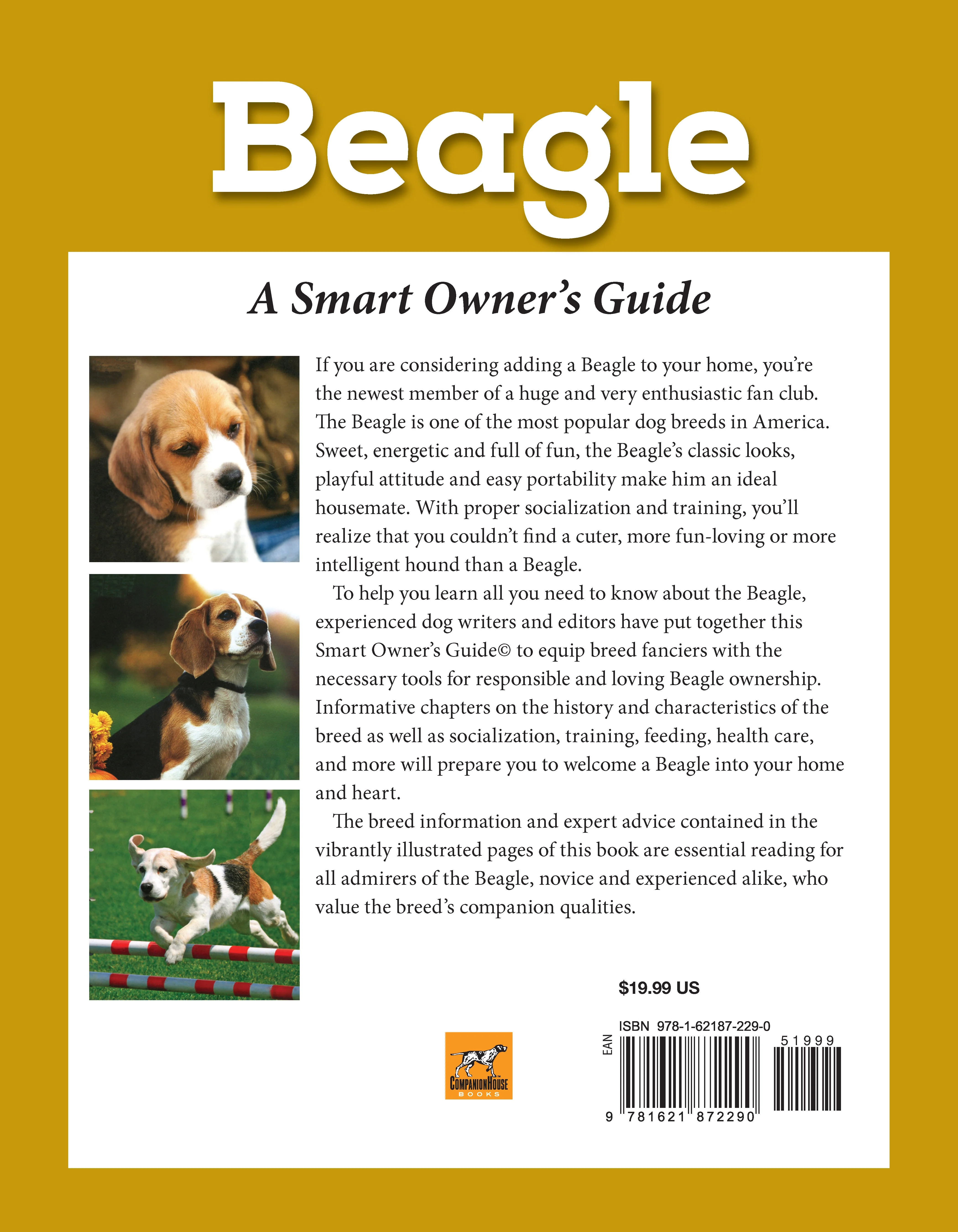 Beagle - Image 7