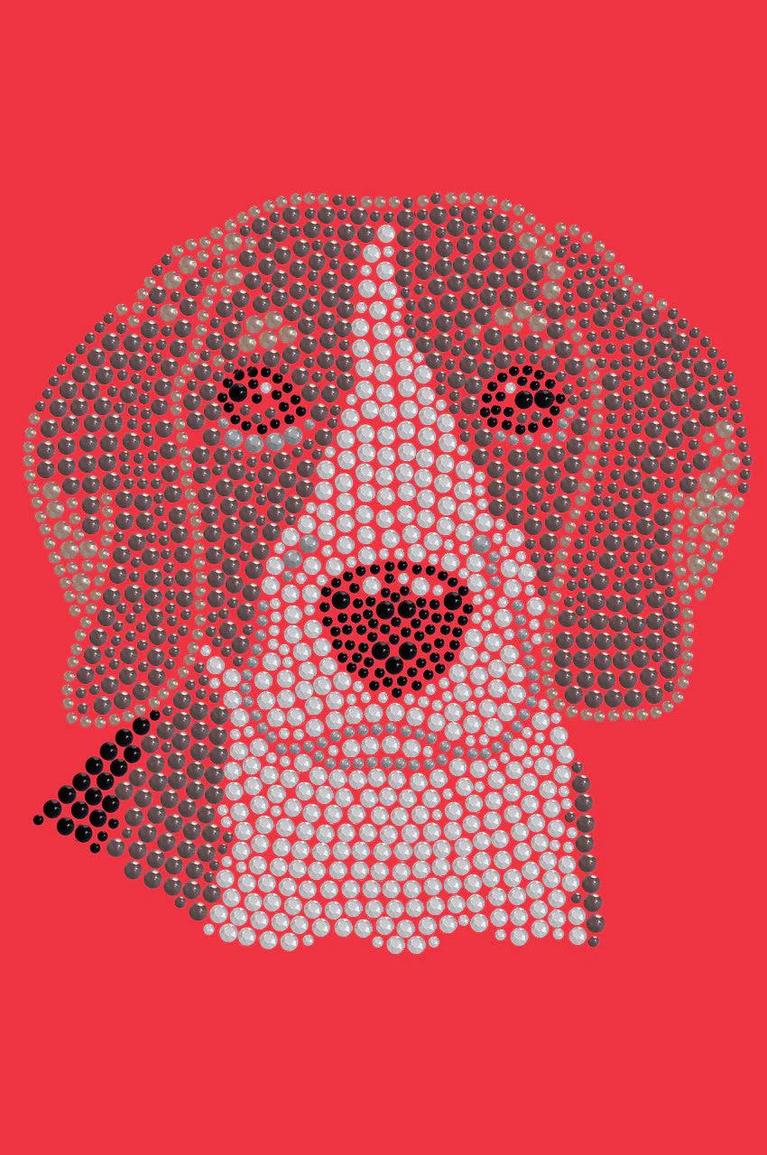 Beagle - bandana - Image 7