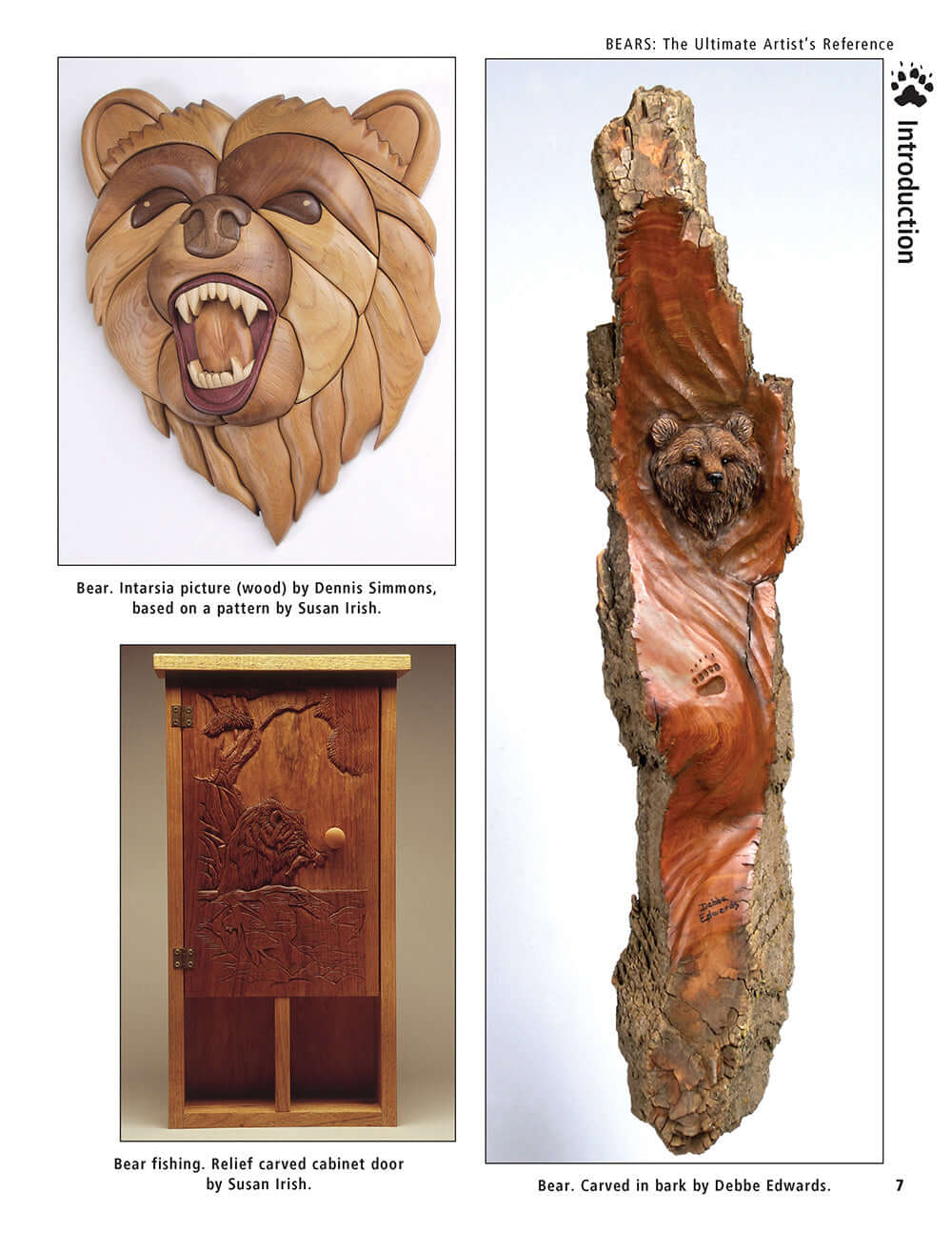 Bear: The Ultimate Artist's Reference - Image 5