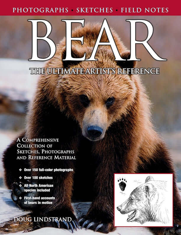 Bear: The Ultimate Artist's Reference - Image 8