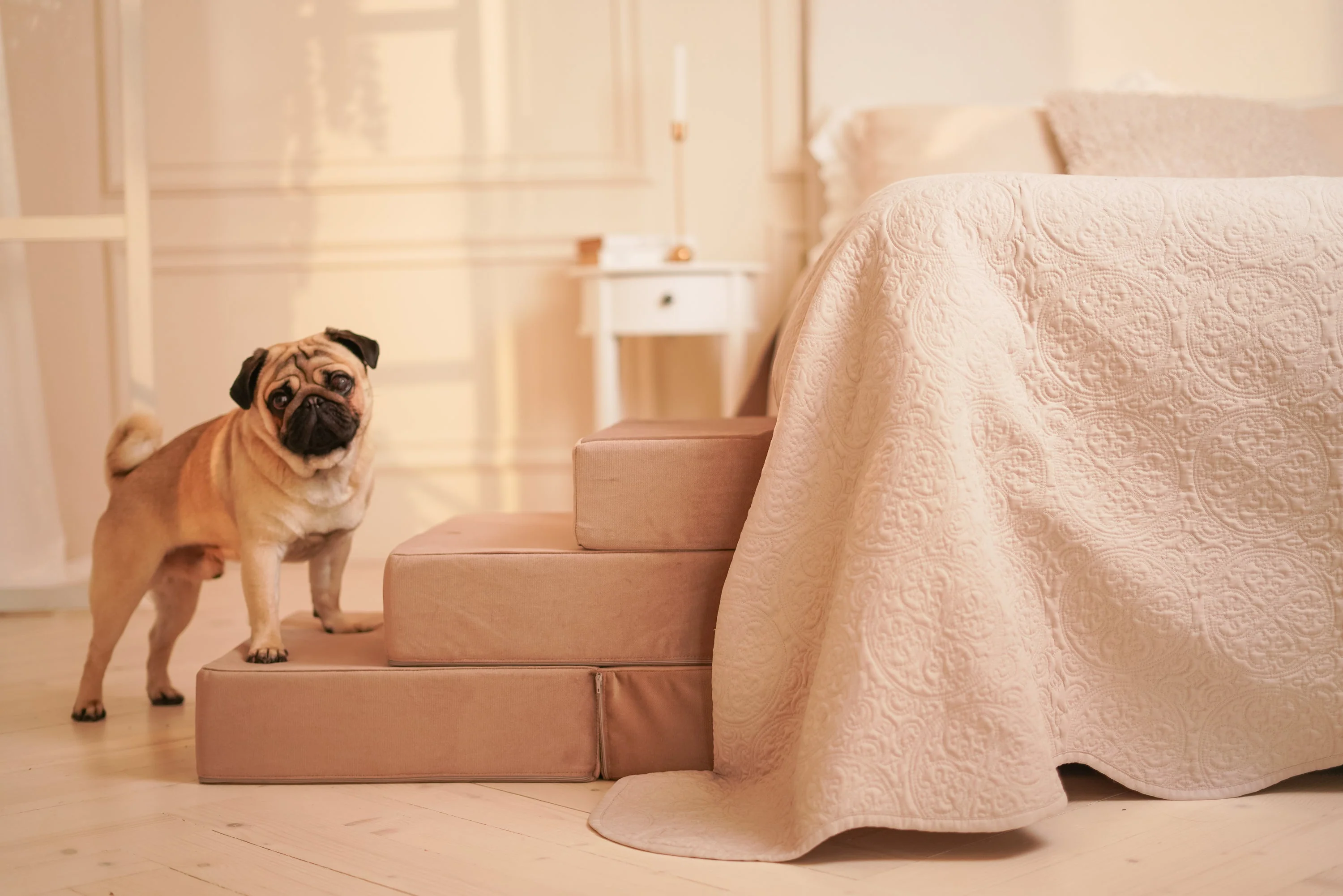 Bed Stairs for Pets - Tetris - Image 7