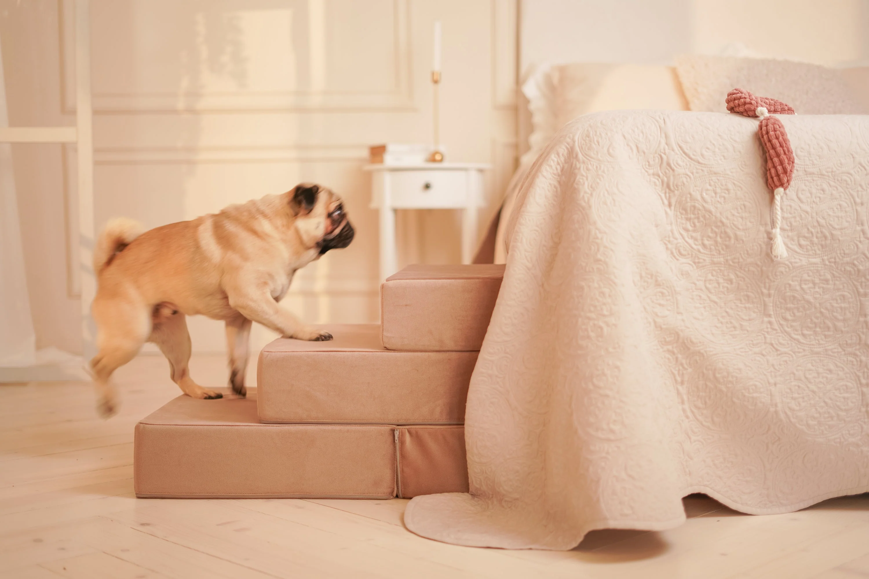 Bed Stairs for Pets - Tetris - Image 8