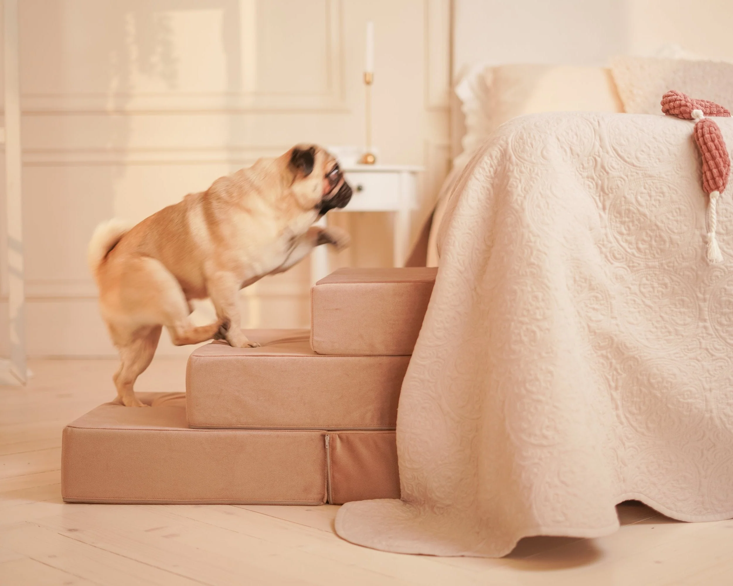 Bed Stairs for Pets - Tetris - Image 9