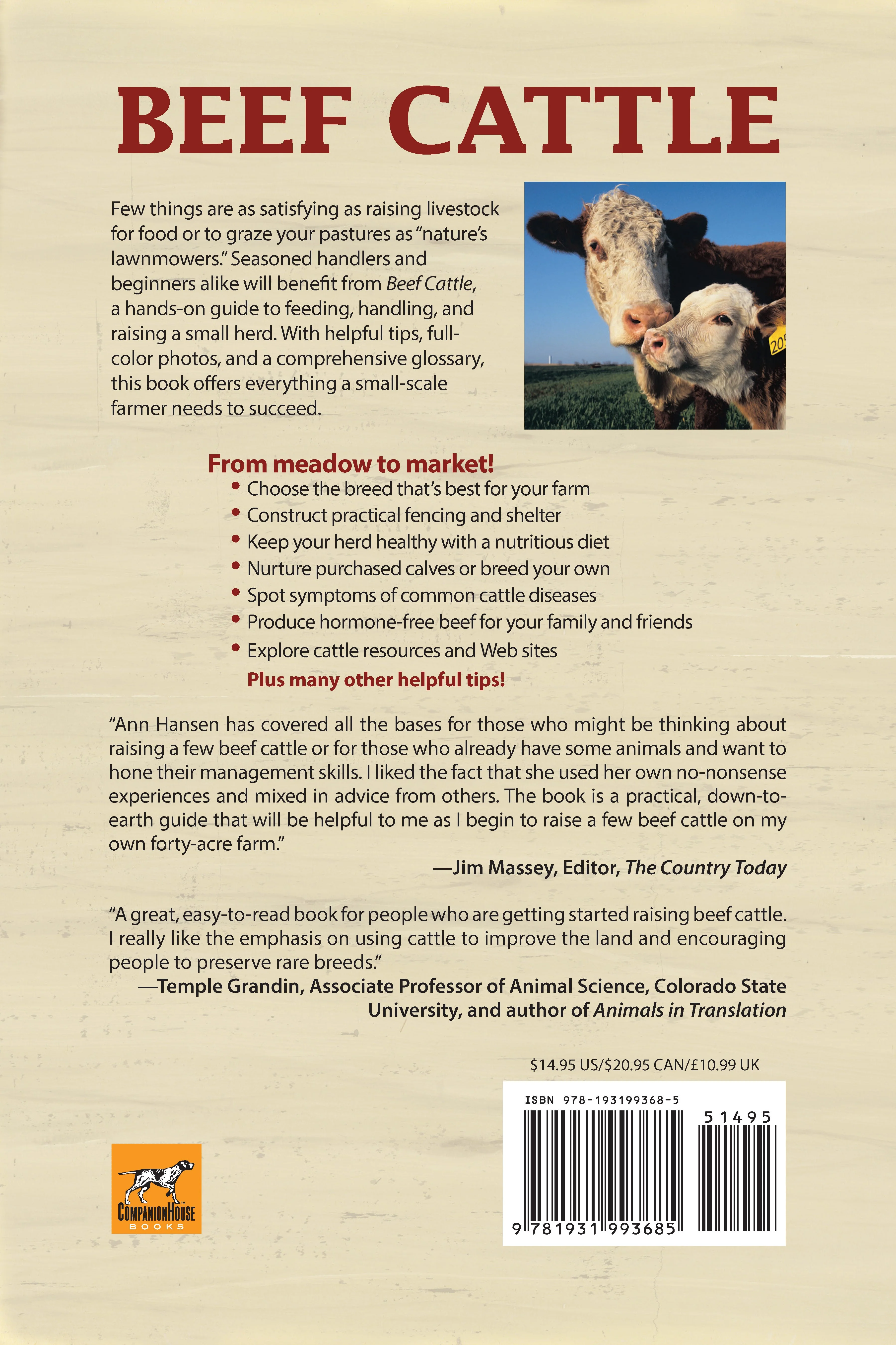 Beef Cattle - Image 7