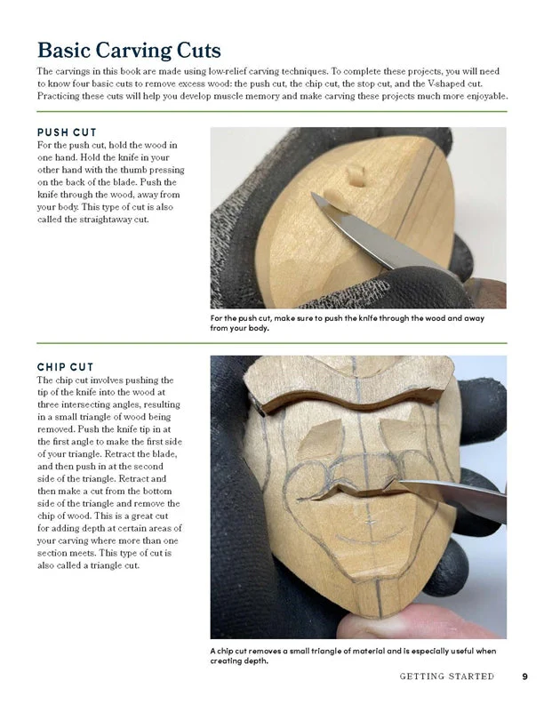 Beginner's Guide to Carving Low-Relief Caricature Faces - Image 3