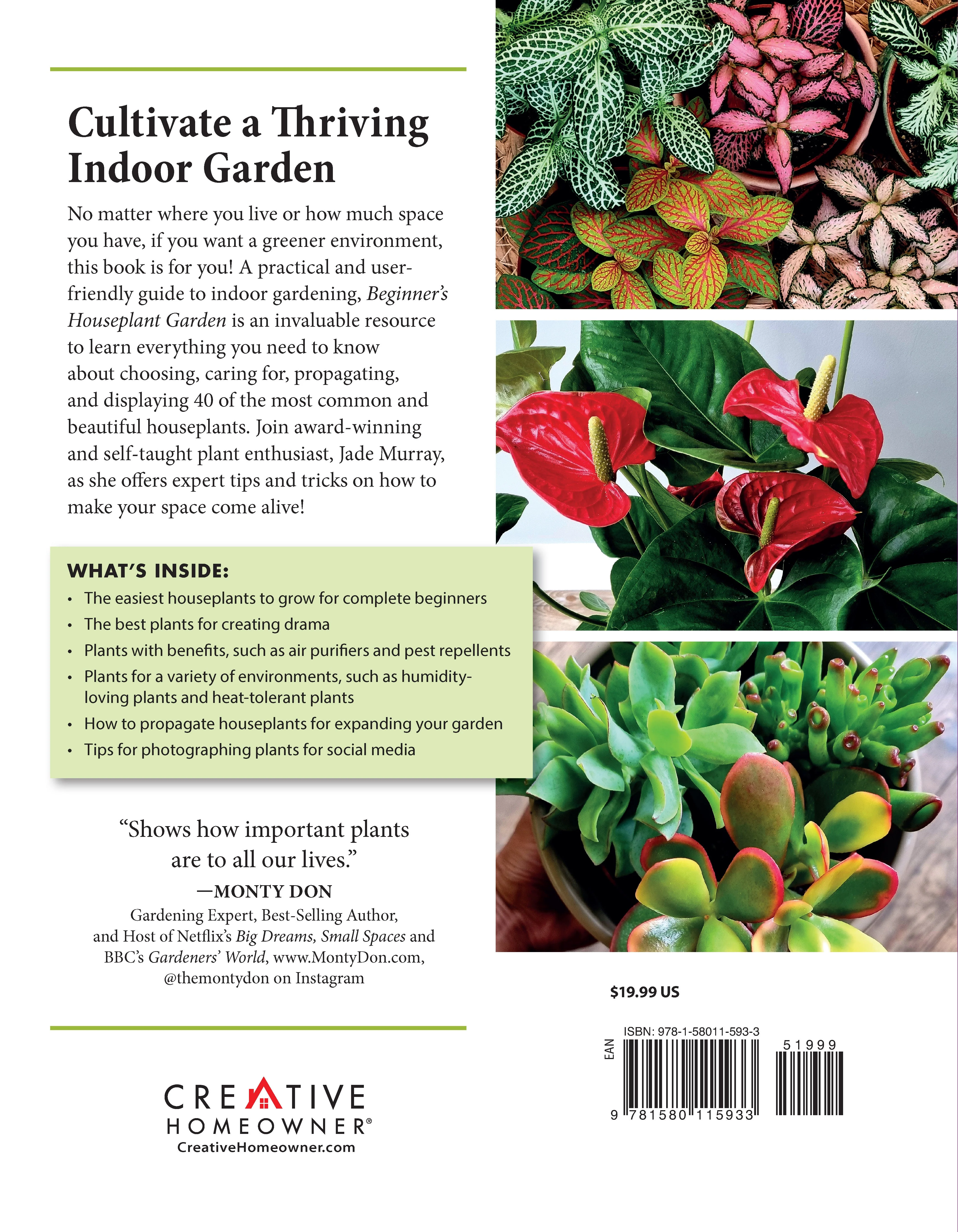Beginner's Houseplant Garden - Image 7