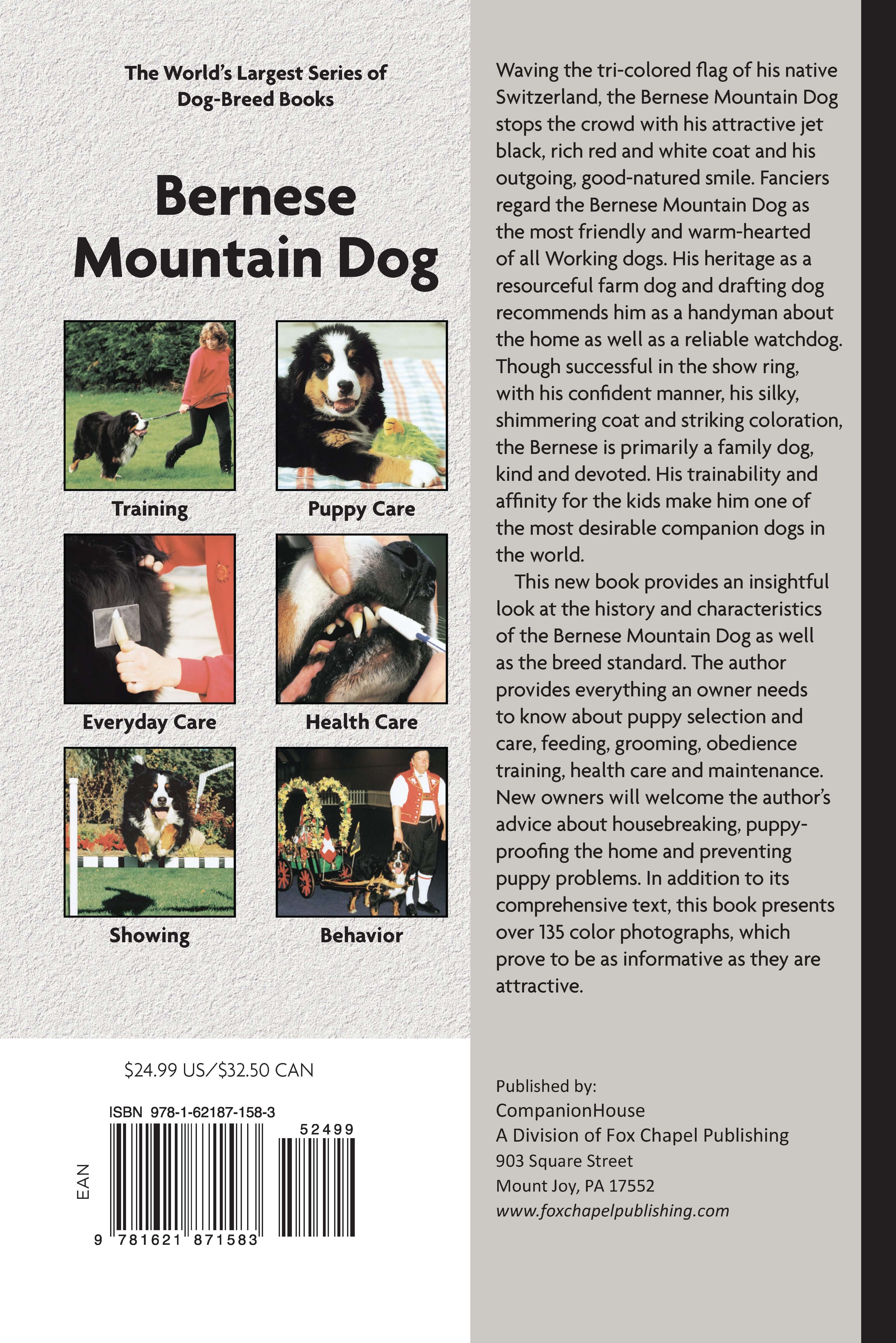 Bernese Mountain Dog (Comprehensive Owner's Guide) - Image 7