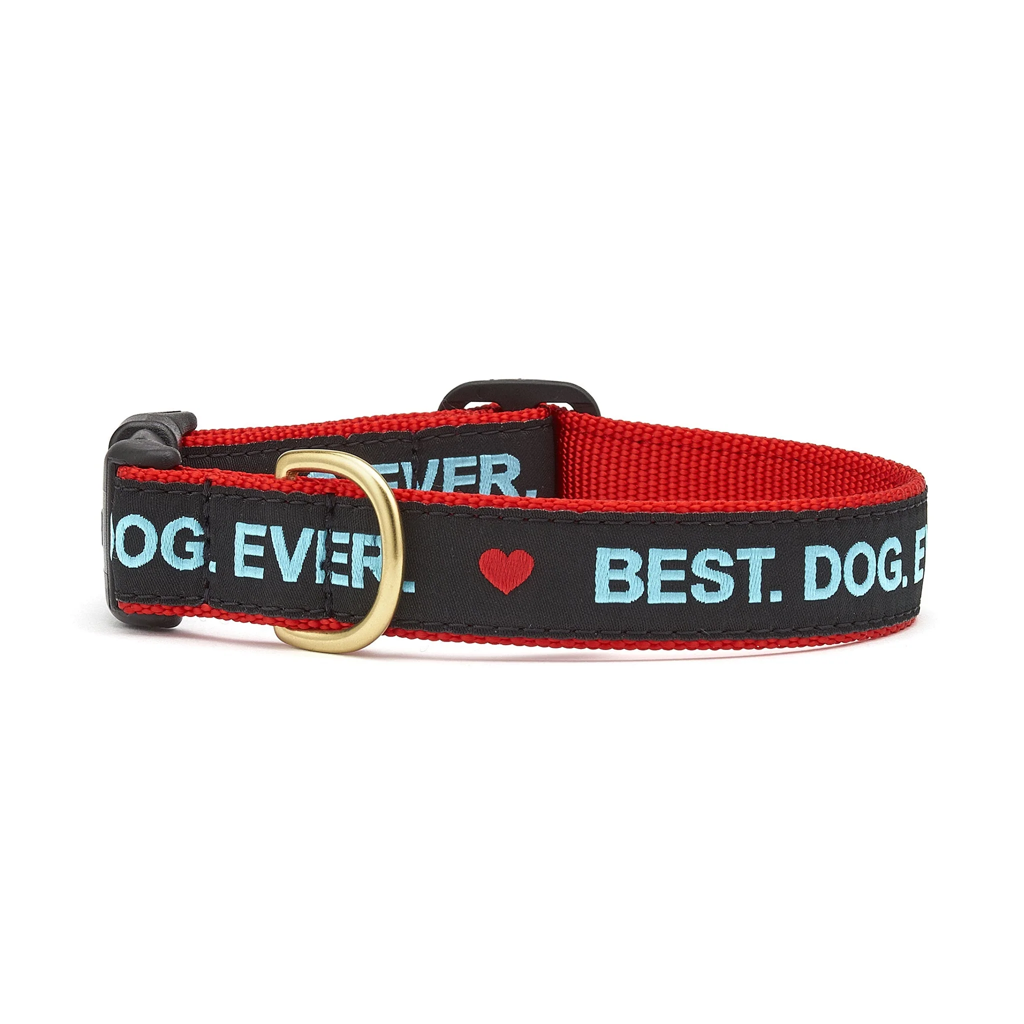 Up Country Best Dog Ever Cast Brass Dog Collar