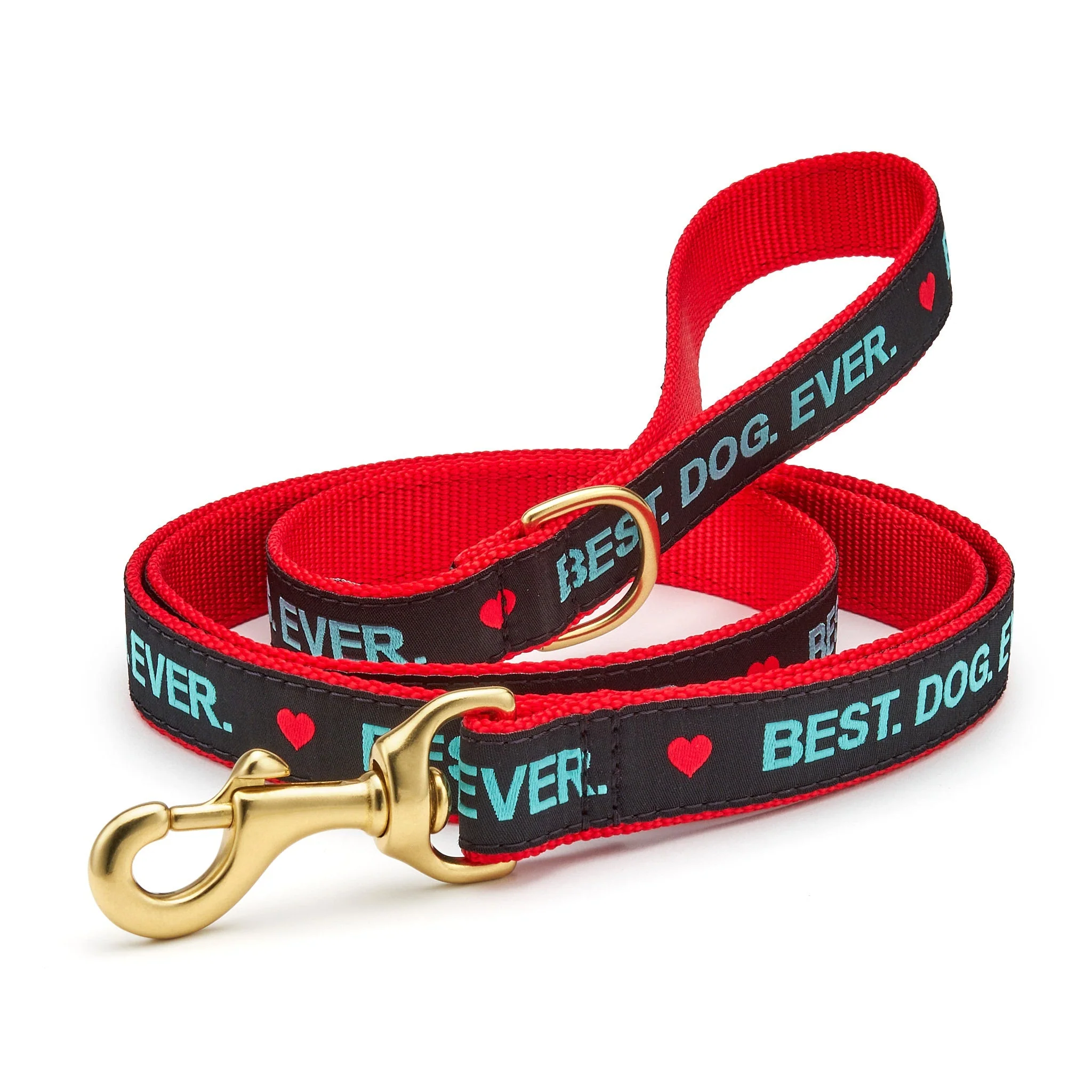 Up Country Best Dog Ever Cast Brass Dog Leash