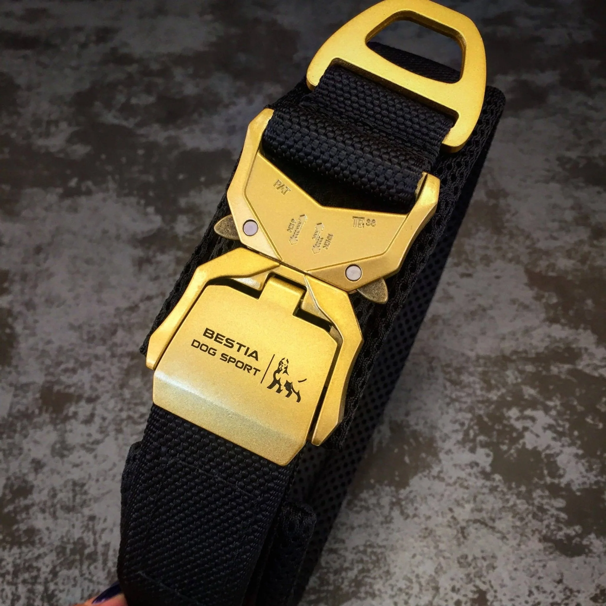 Bestia Dog Sport Waterproof Dog Collar - Black