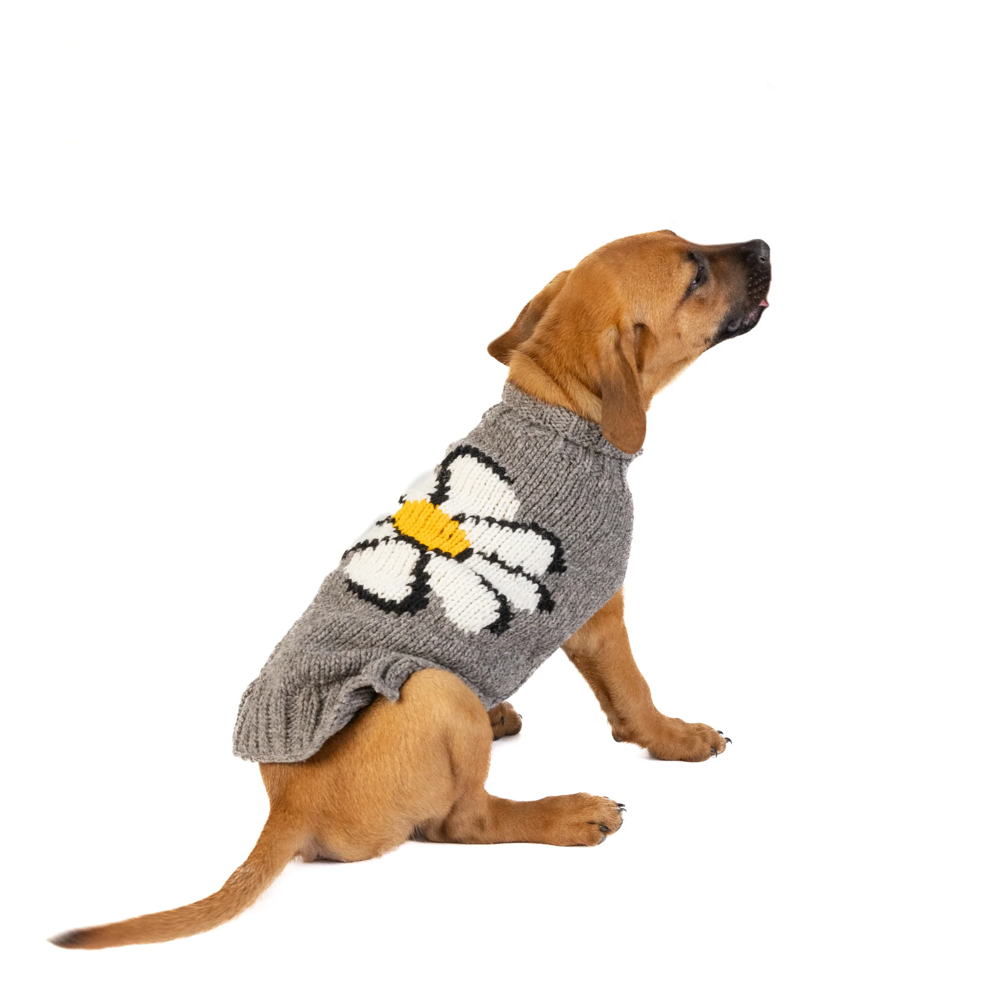 Big Daisy Dog Sweater - Image 2
