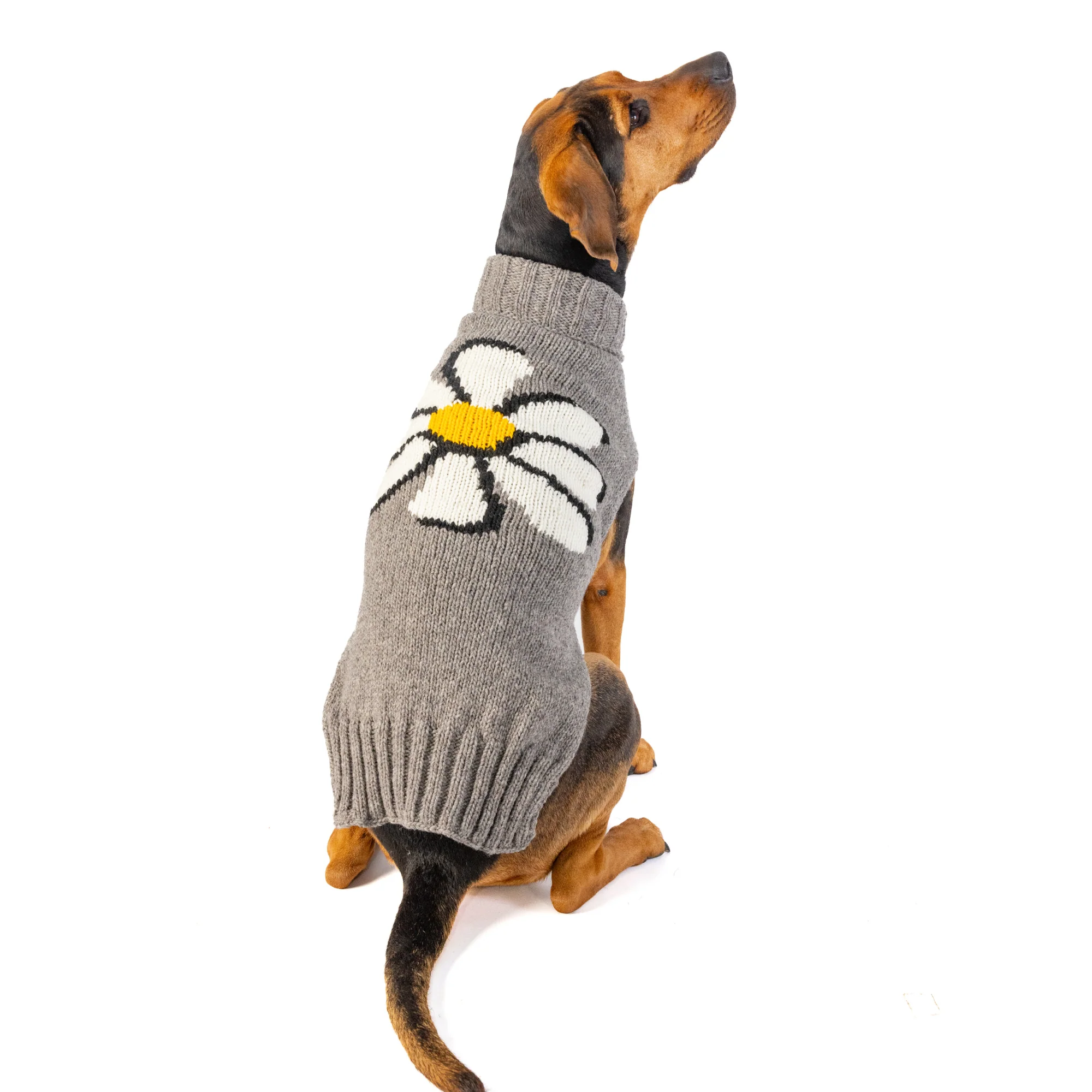 Big Daisy Dog Sweater - Image 3