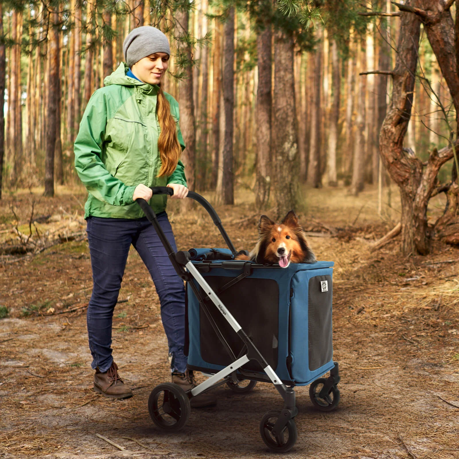 BigBuddy Pet Stroller and Soft Crate Combo, 2-in-1 Pet Wagon - Image 11