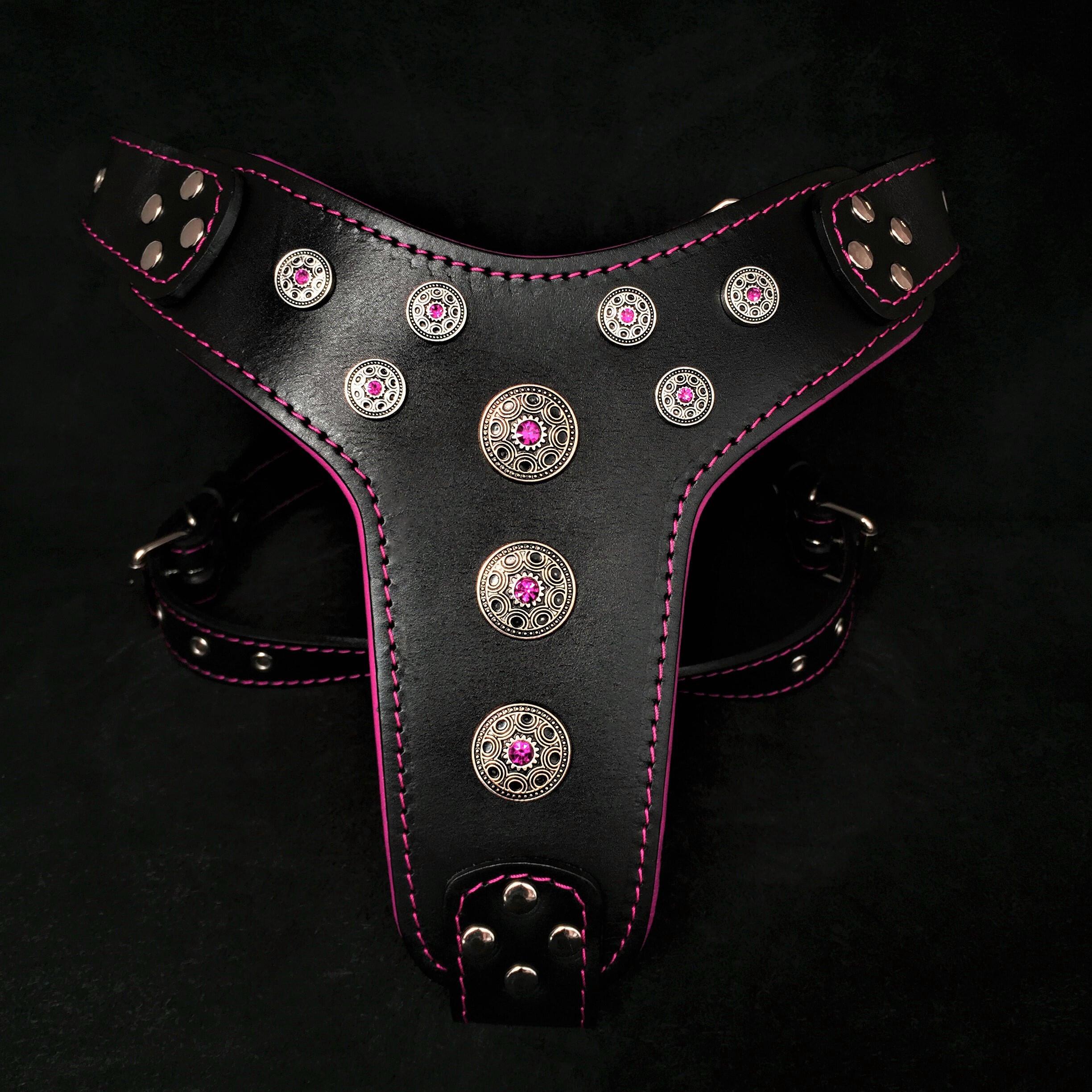 Bestia Dog Gear Genuine Leather Dog Harness - Black/M