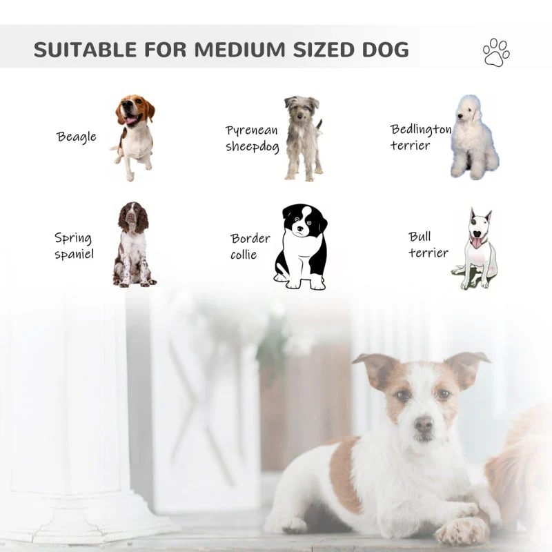 Bike Trailer Cargo Cart for Dogs and Pets - Image 5
