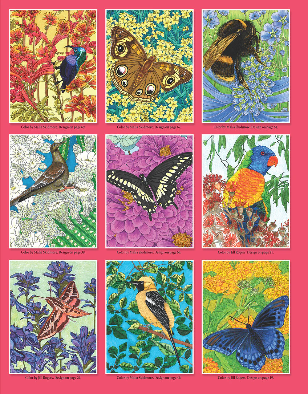 Birds, Butterflies, and Bees - Image 6