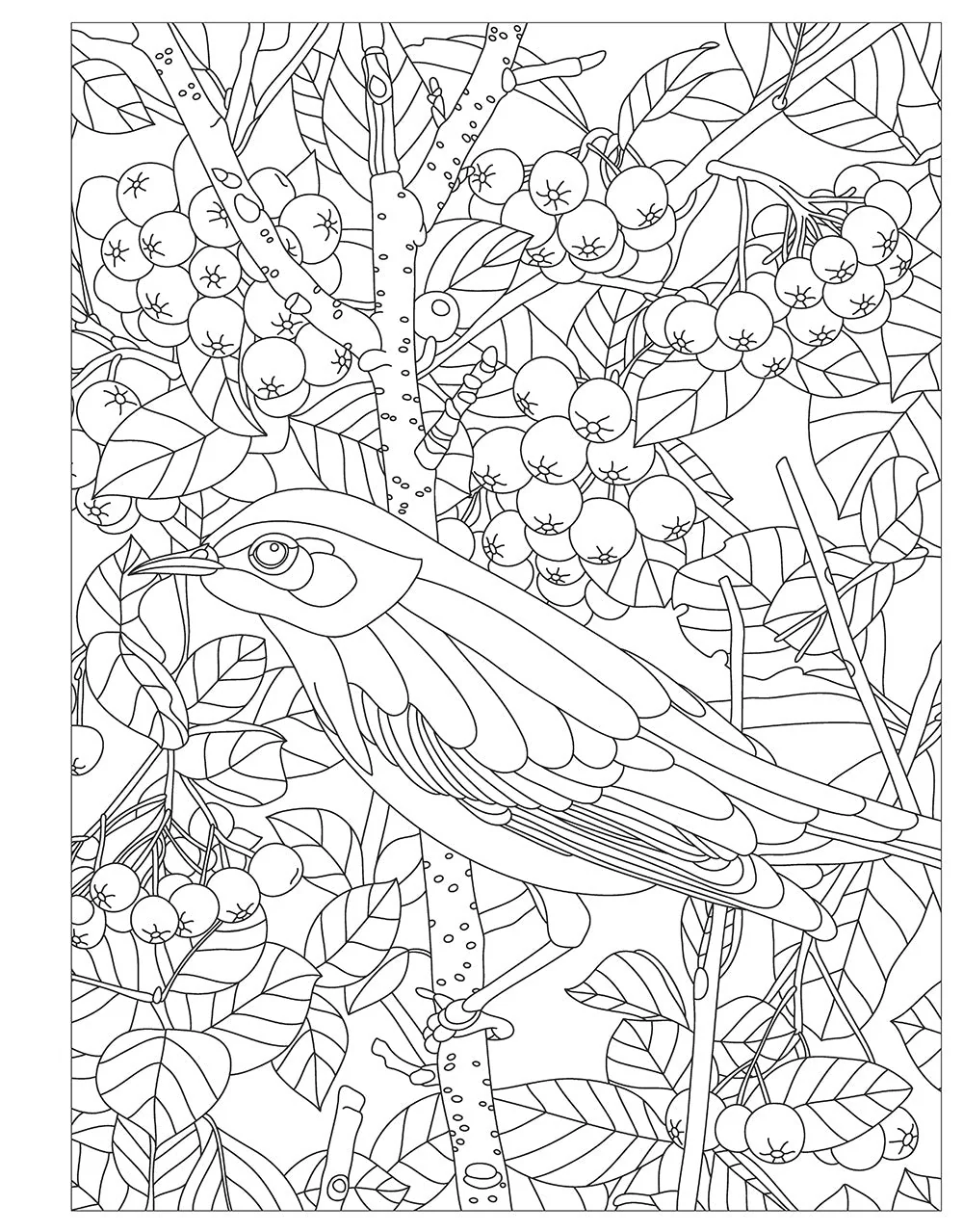 Birds, Butterflies, and Bees - Image 7