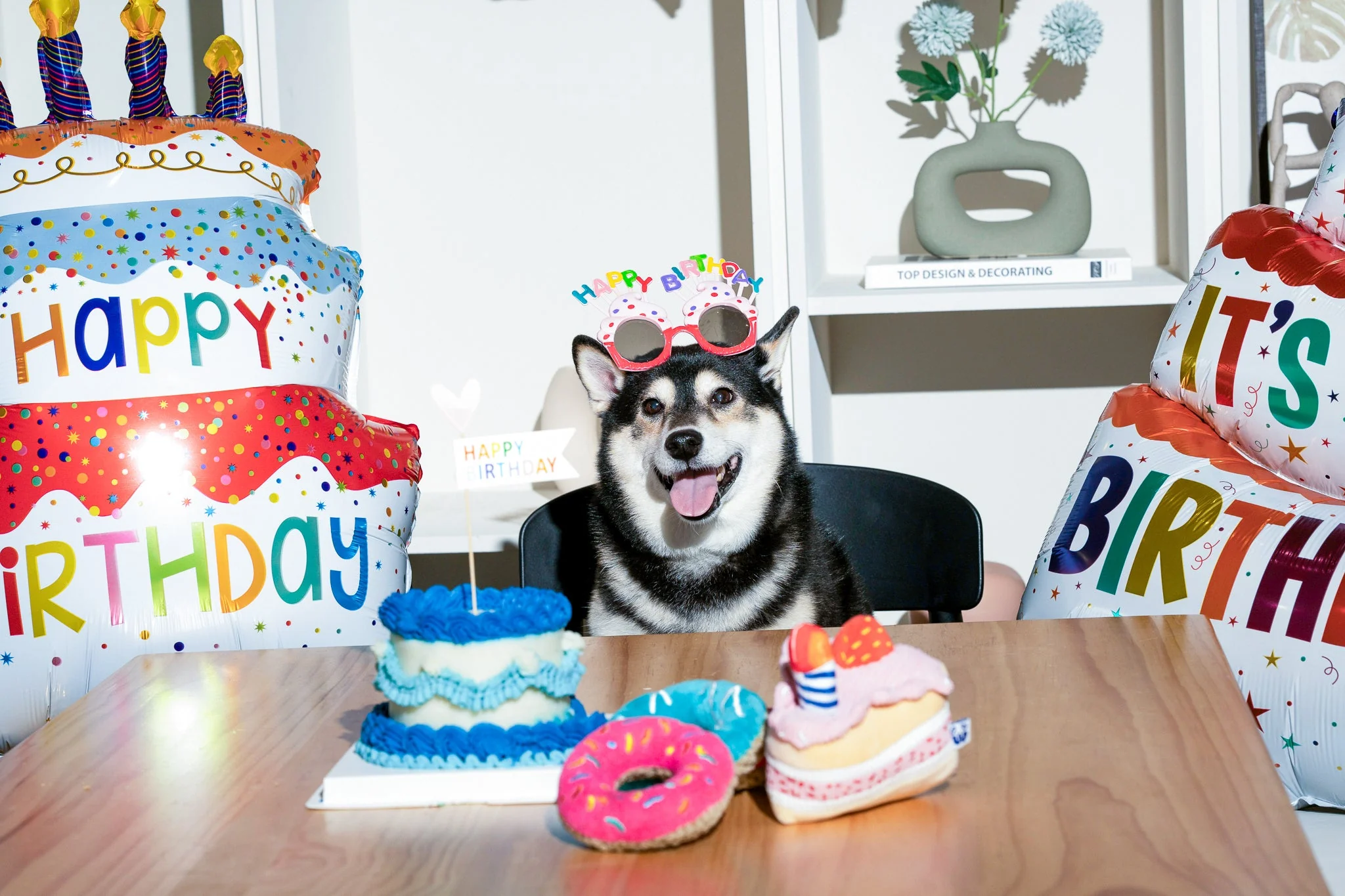 Premium Pet Essential: BIRTHDAY BONE - Image 16