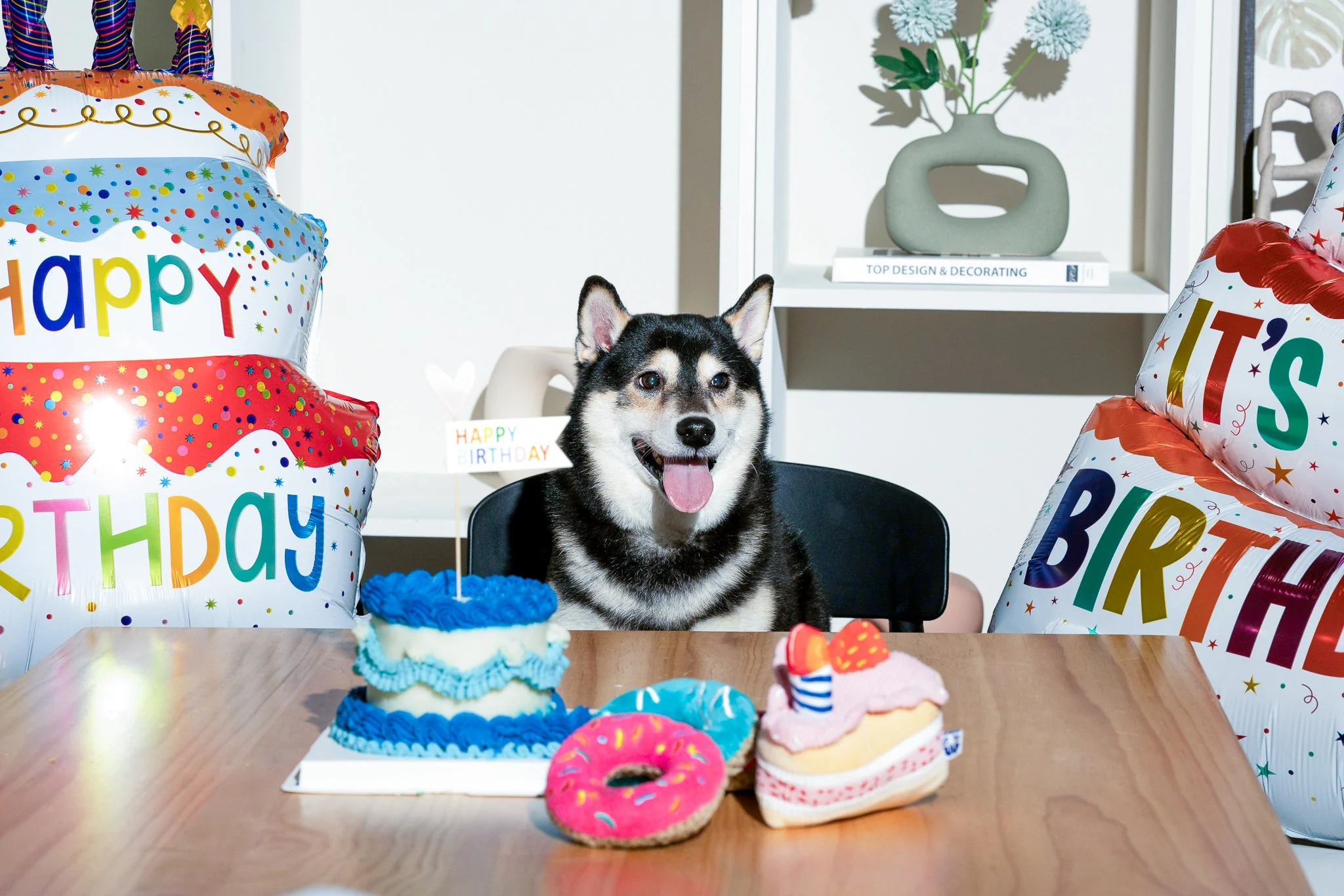Premium Pet Essential: BIRTHDAY BONE - Image 17