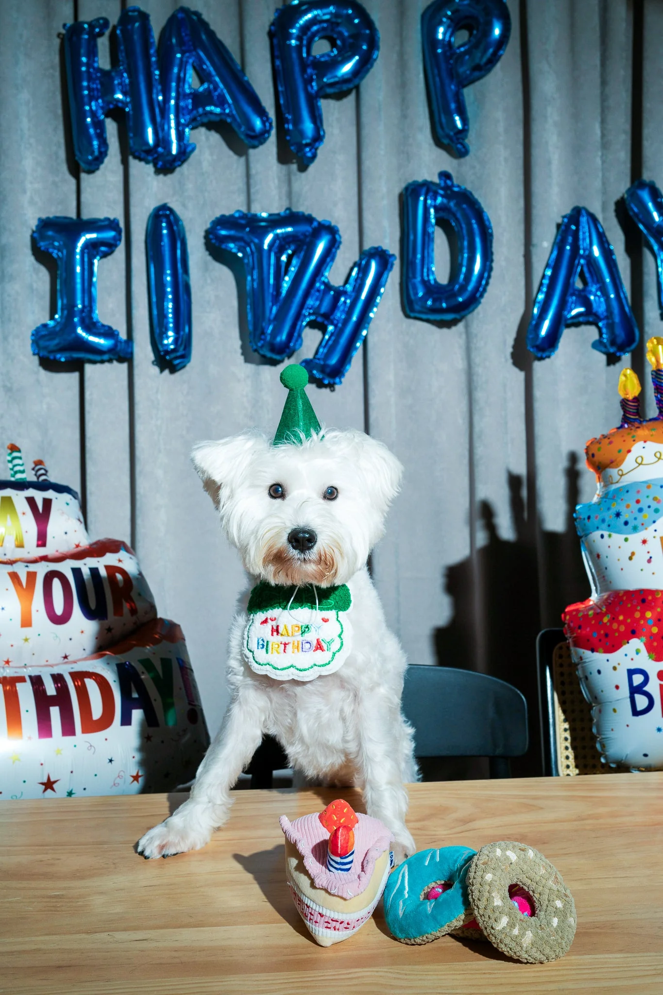 Premium Pet Essential: BIRTHDAY CAKE - Image 10