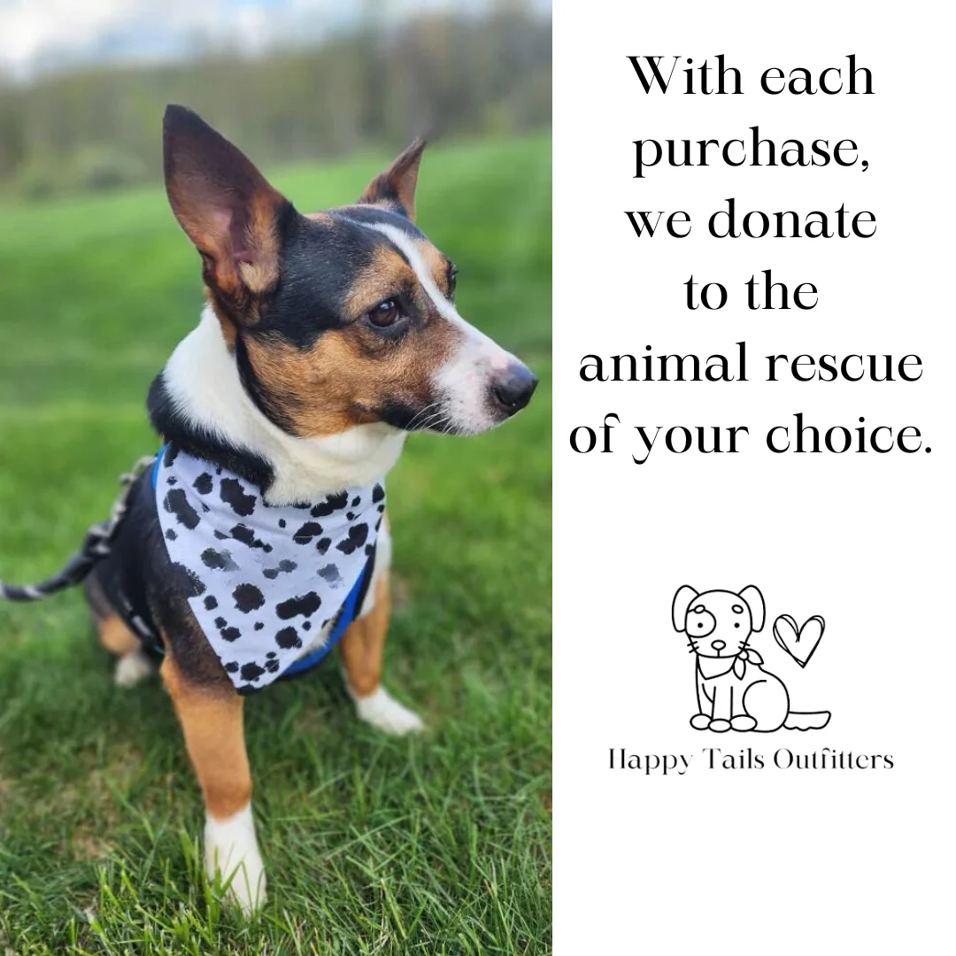 Birthday Dog Bandana - Image 10