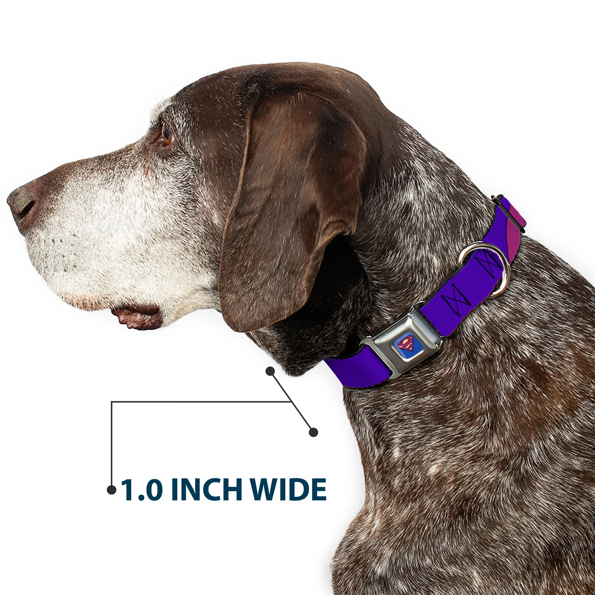 Bizzaro Logo Full Color Blue Seatbelt Buckle Collar - Bizzaro Logo w/Bizzaro Pose - Image 6