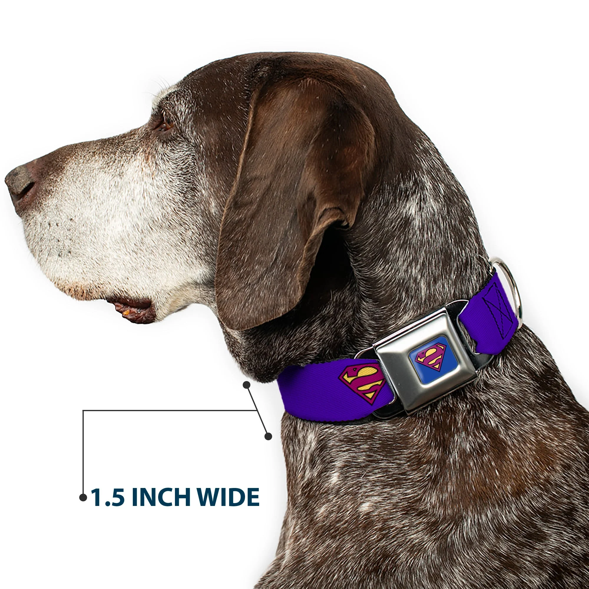 Bizzaro Logo Full Color Blue Seatbelt Buckle Collar - Bizzaro Logo w/Bizzaro Pose - Image 7