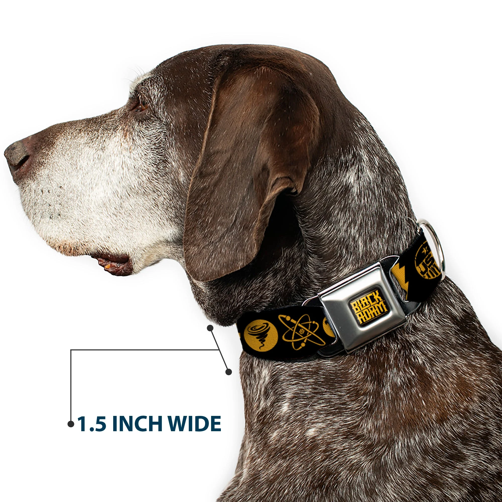 BLACK ADAM Title Logo Full Color Black/Yellows Seatbelt Buckle Collar - Black Adam Justice Society Icons Black/Orange - Image 7