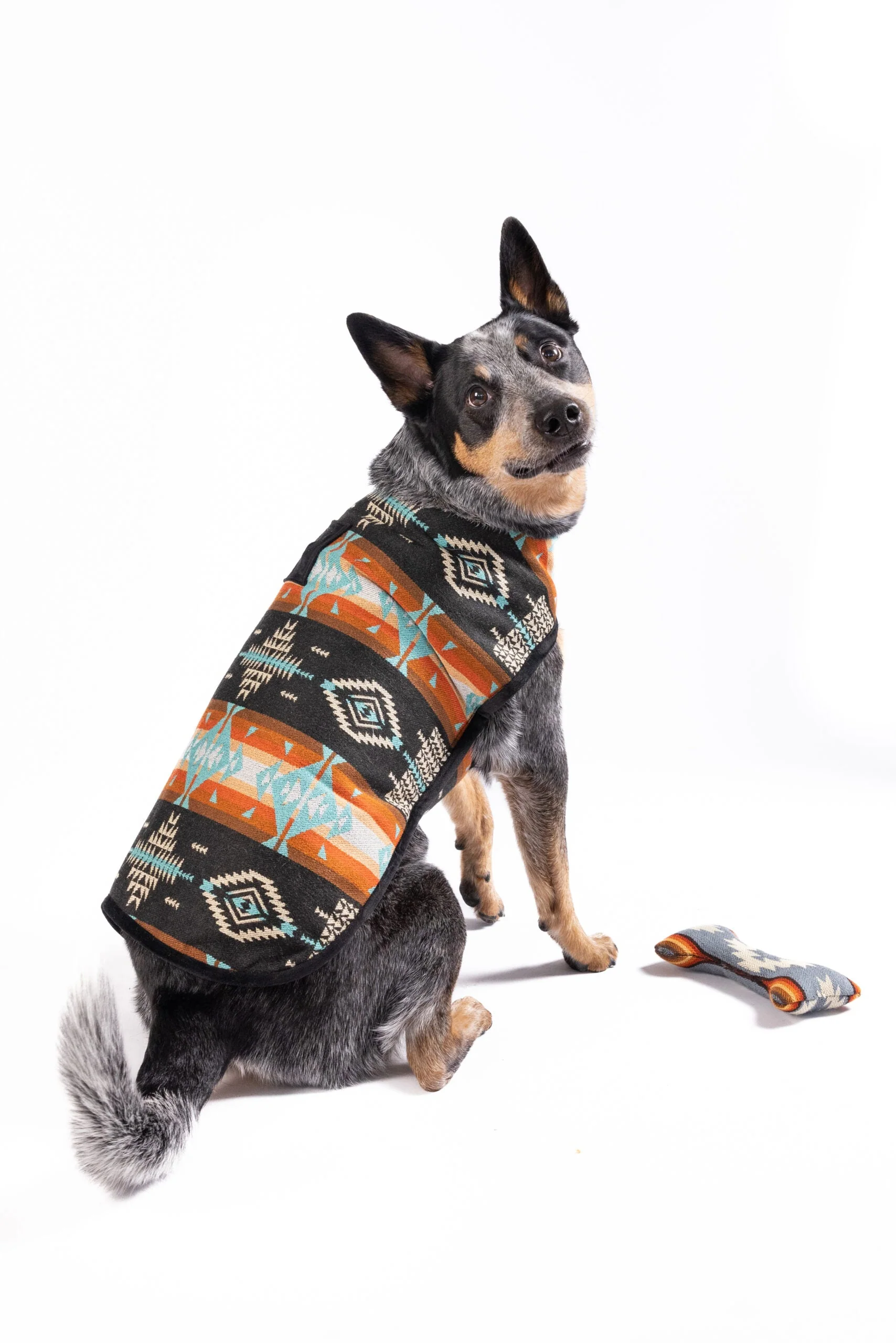 Black Canyon Dog Blanket Coat - Image 4