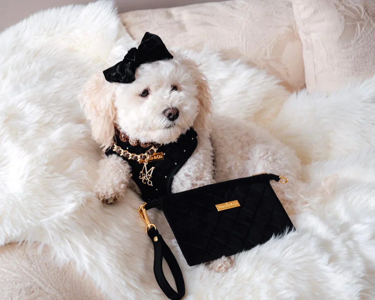 Black Diamond Wristlet - Image 2