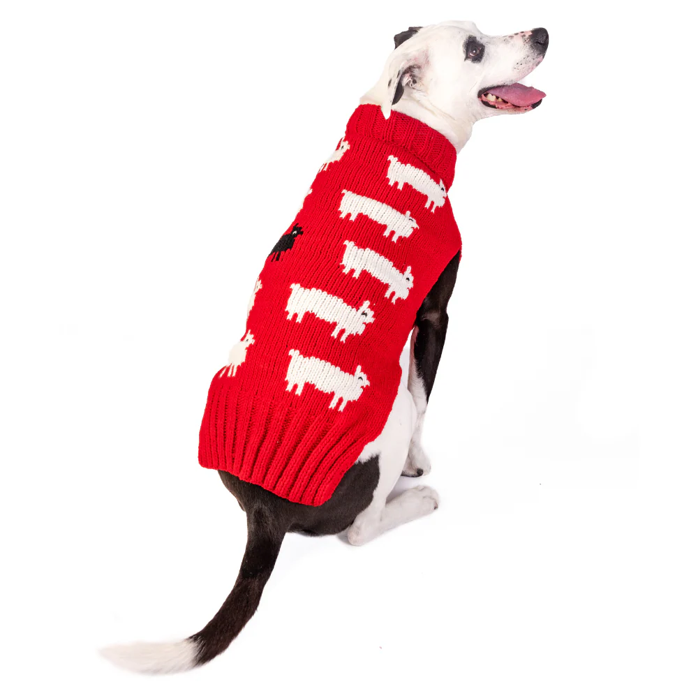 Black Sheep Dog Sweater - Image 5