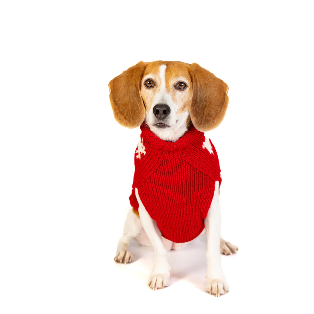 Black Sheep Dog Sweater - Image 6