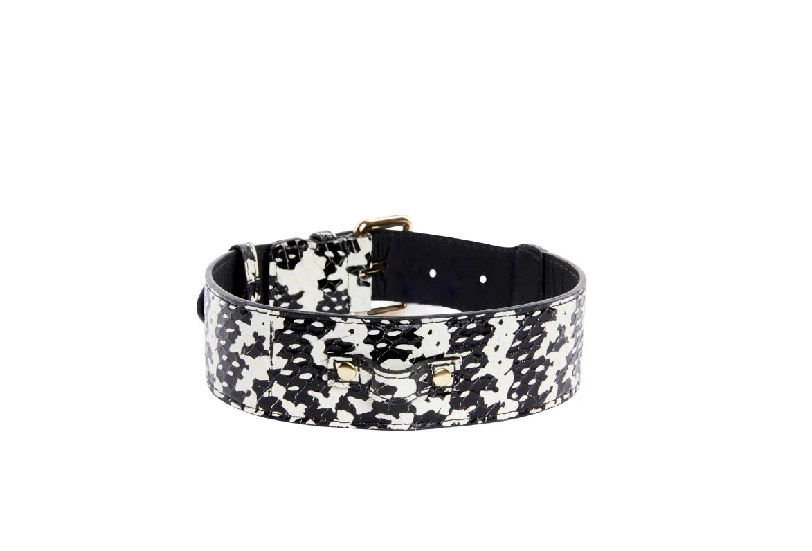Black & White Snake Collar With Classic Gold Hardware - Image 3