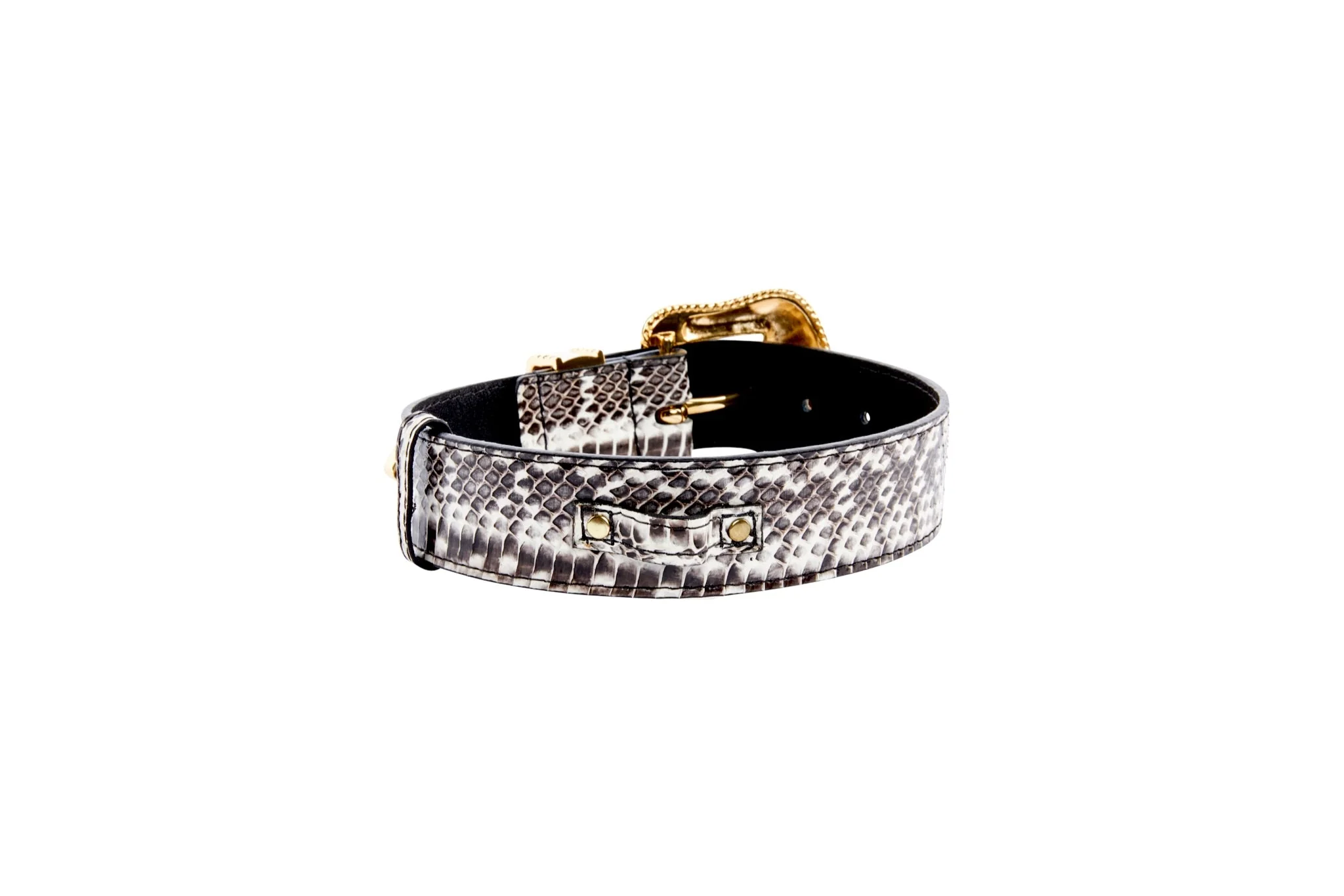 Black & White Viper Snake Collar With Gold Swarovski Crystal Hardware - Image 3