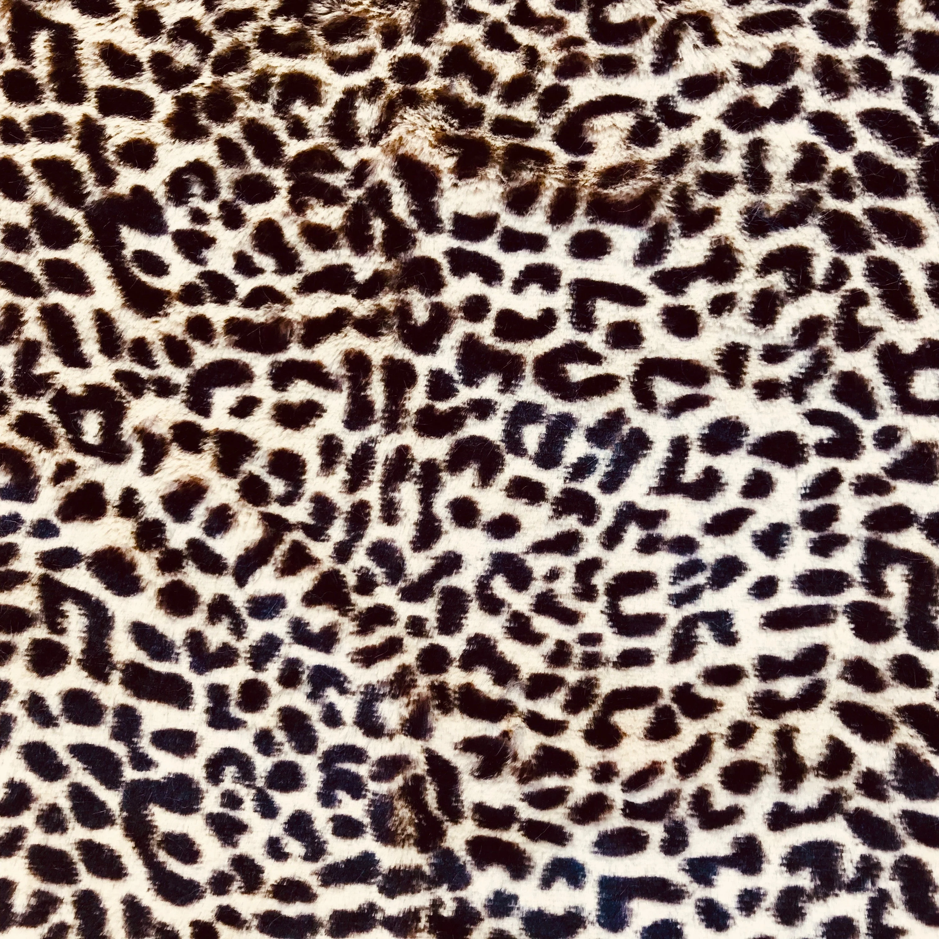 Blanket, Cheetah - Image 2
