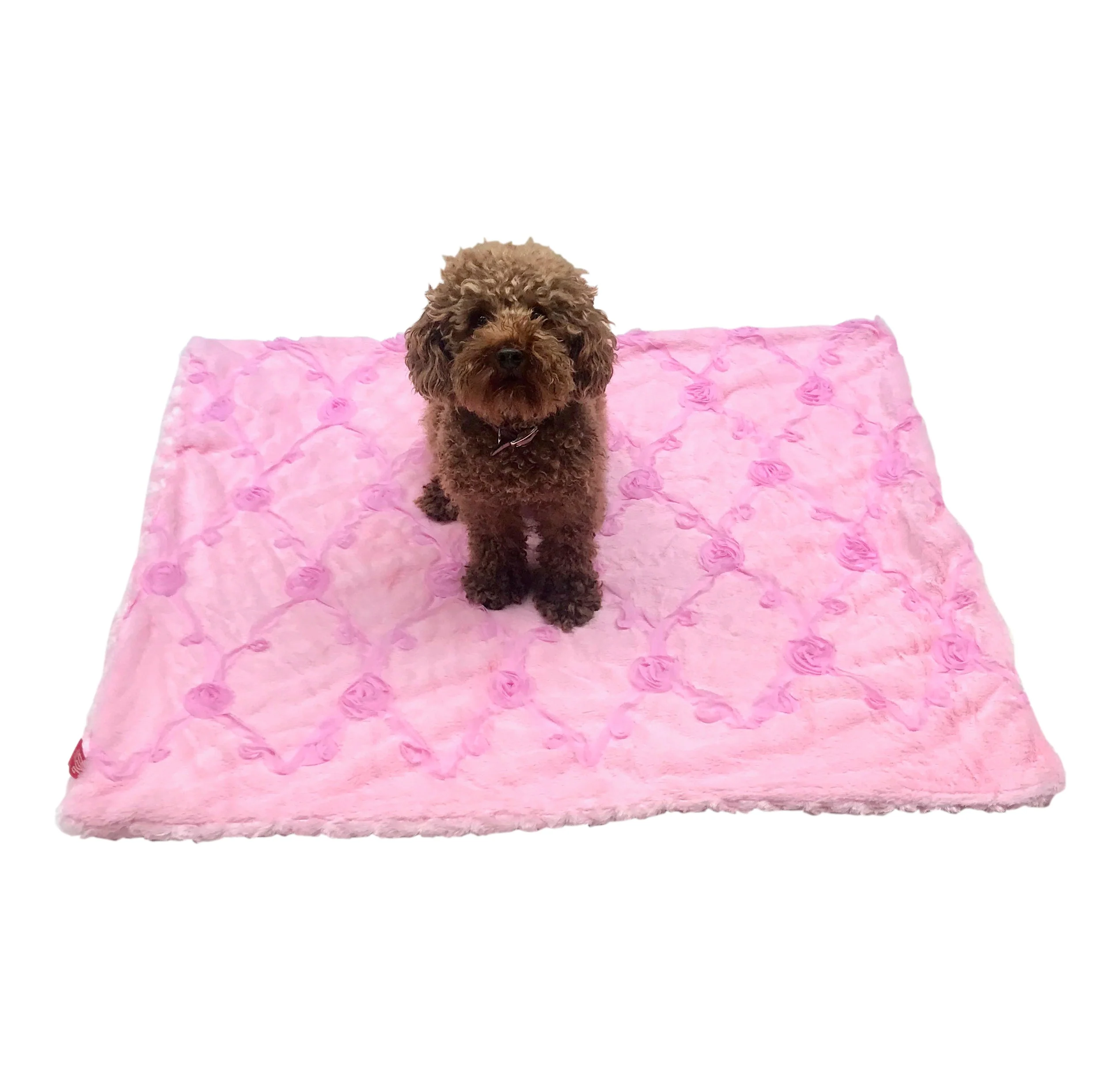 Blanket, Embroidered Roses in Pale Pink - Image 3
