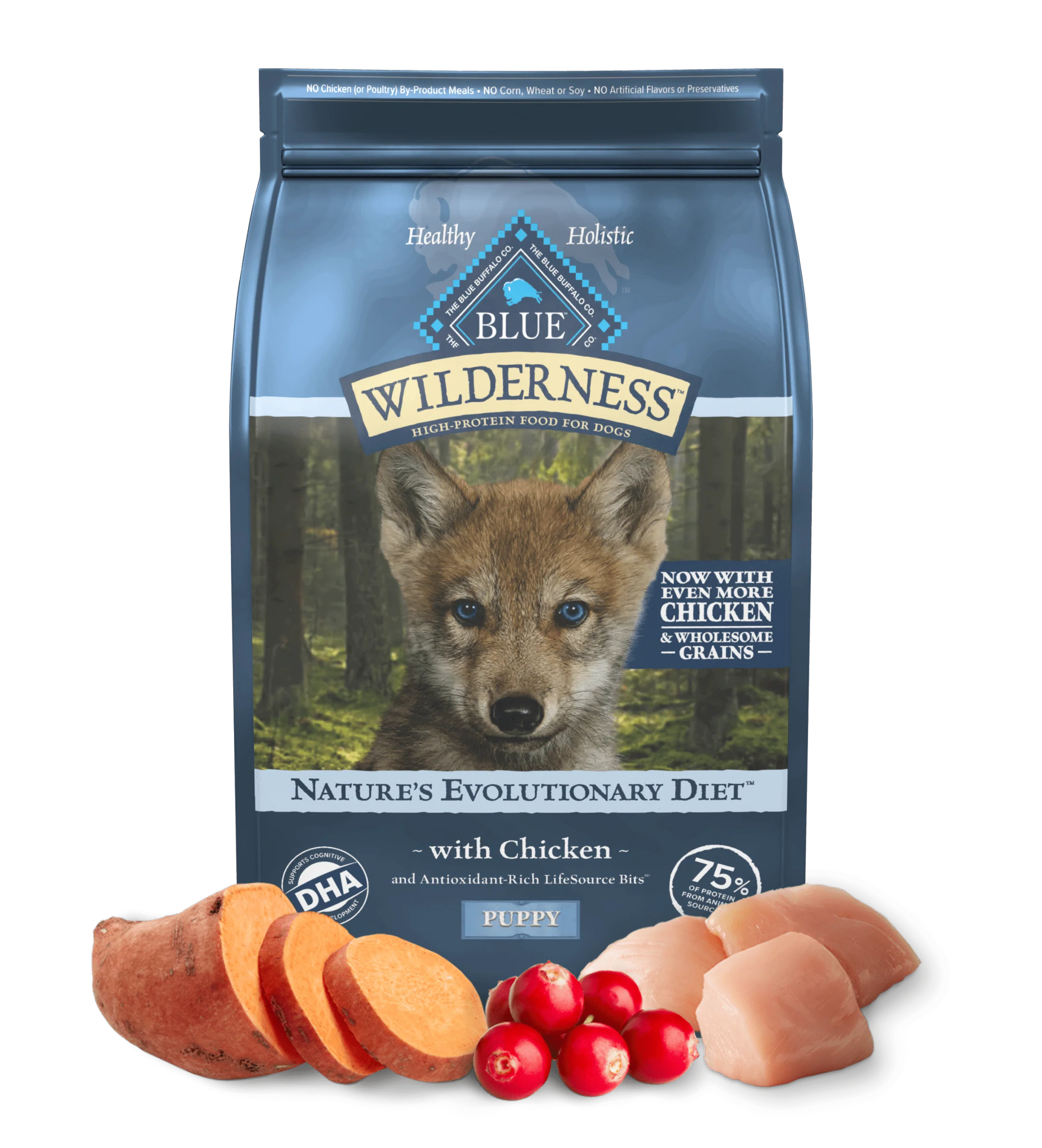 Blue Buffalo Wilderness Puppy Chicken with Wholesome Grains Dry Dog Food